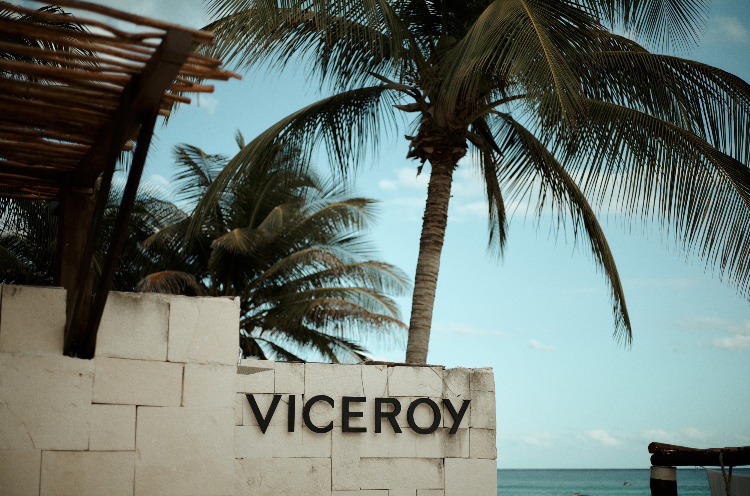 24-01-30-Viceroy-001.jpg