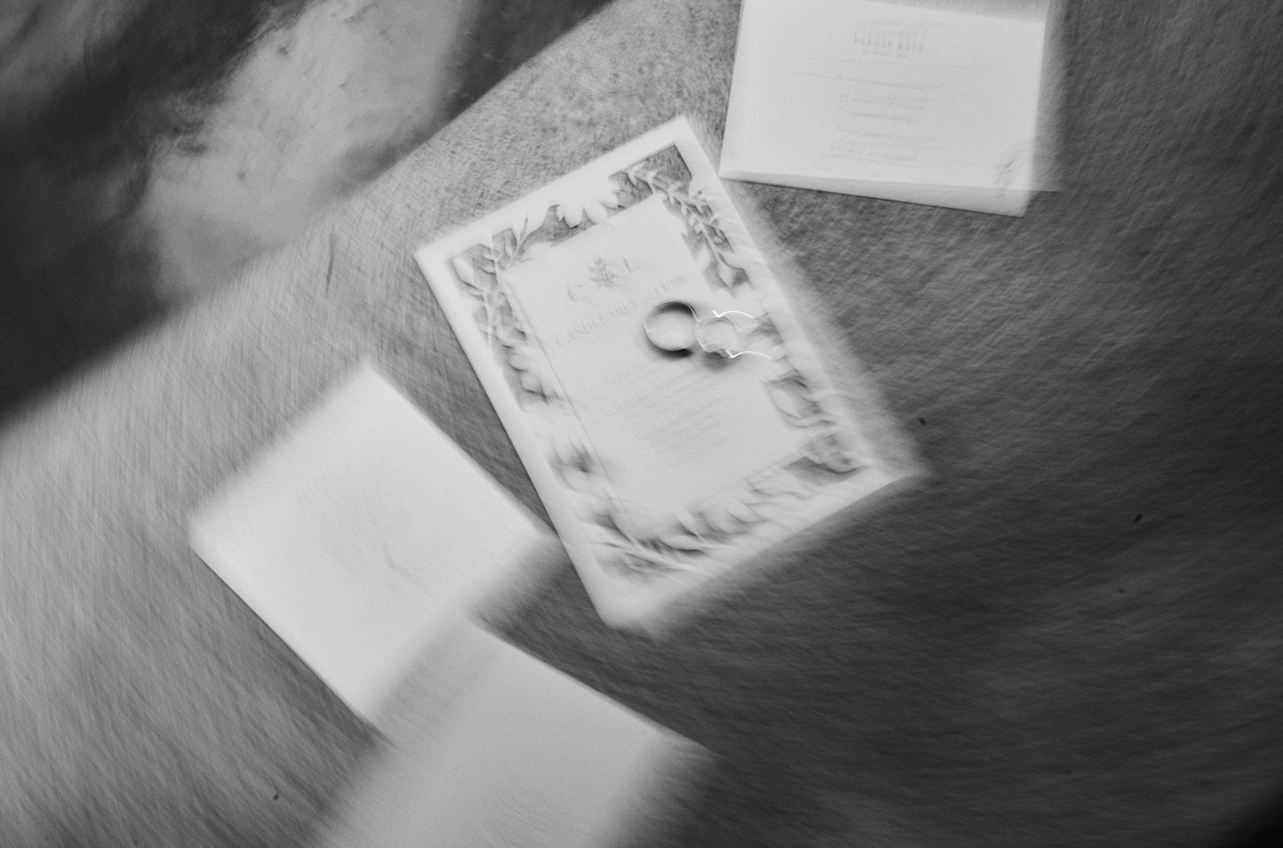 24-01-30-Viceroy-009.jpg