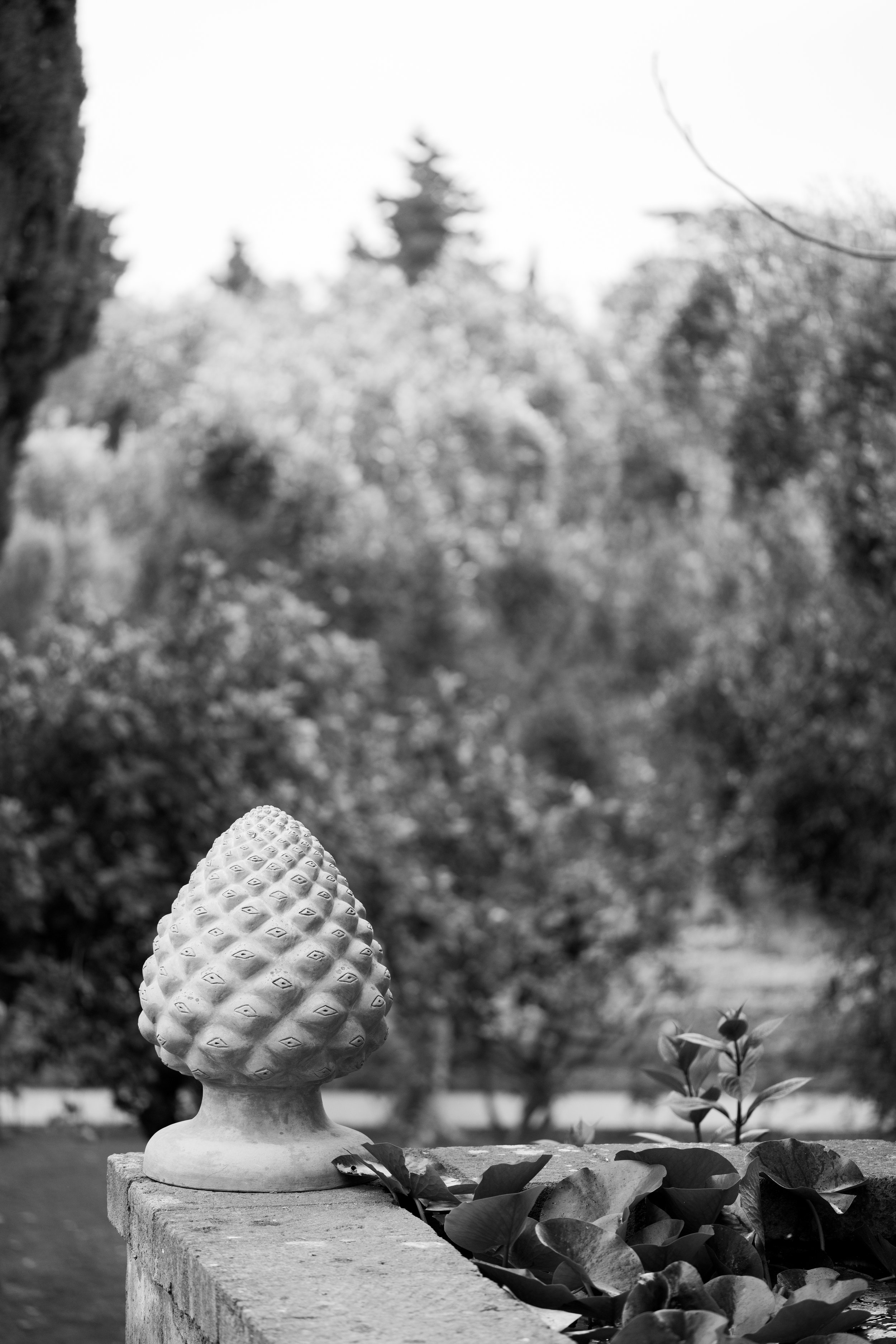 Wedding_at_Villa_Zagara_by_Martina-7.jpg