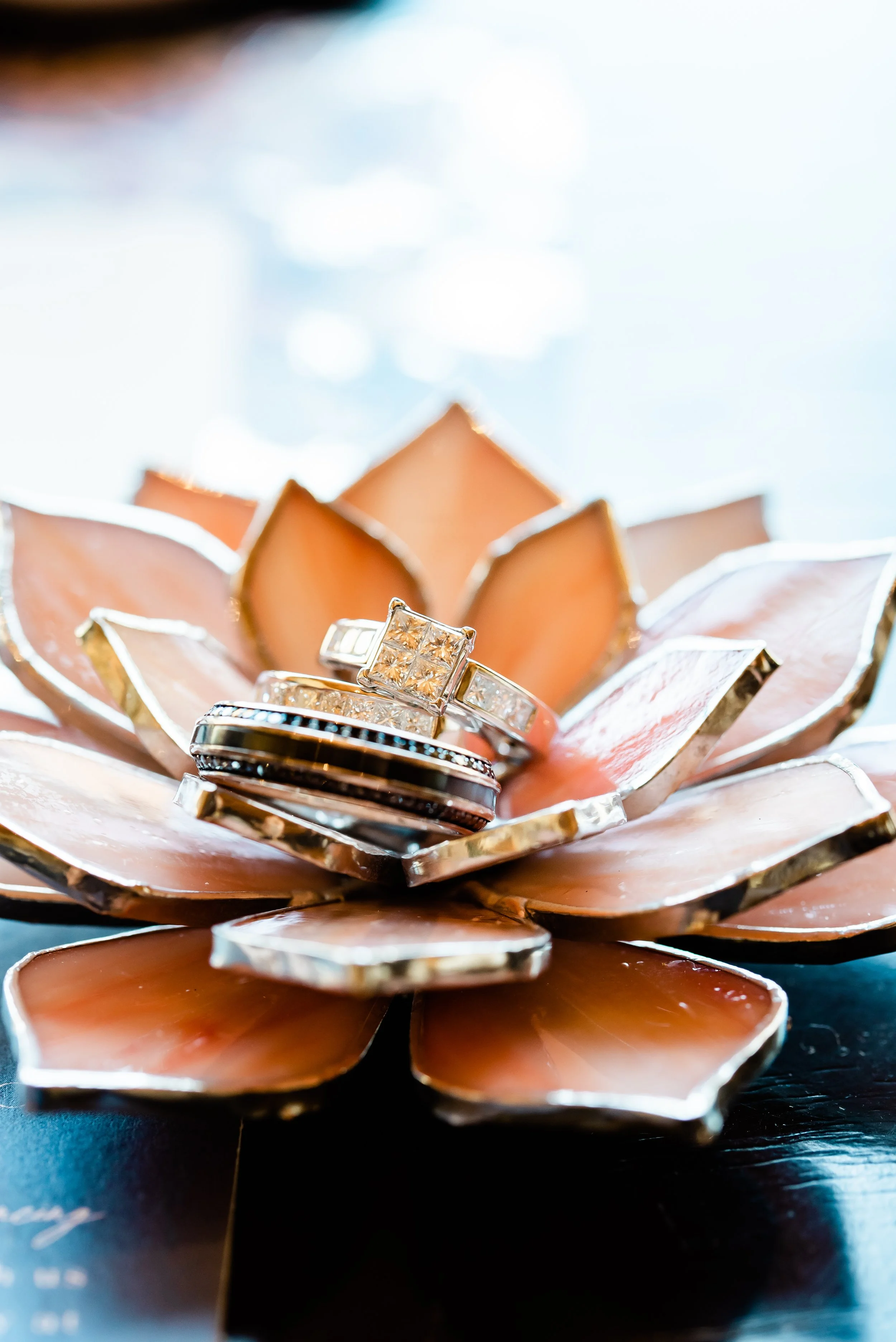 Josephine  Rene-77845.JPG