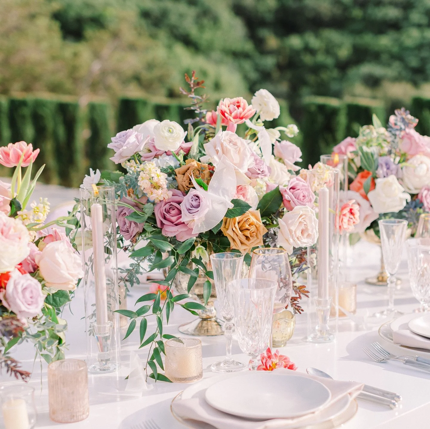 Spring has arrived and she did not come quietly 🌸✨

A season where colors awaken, blooms tell their stories, and every detail feels a little more alive. From soft pastels to bold, vibrant hues, this is your reminder to embrace beauty in full bloom a