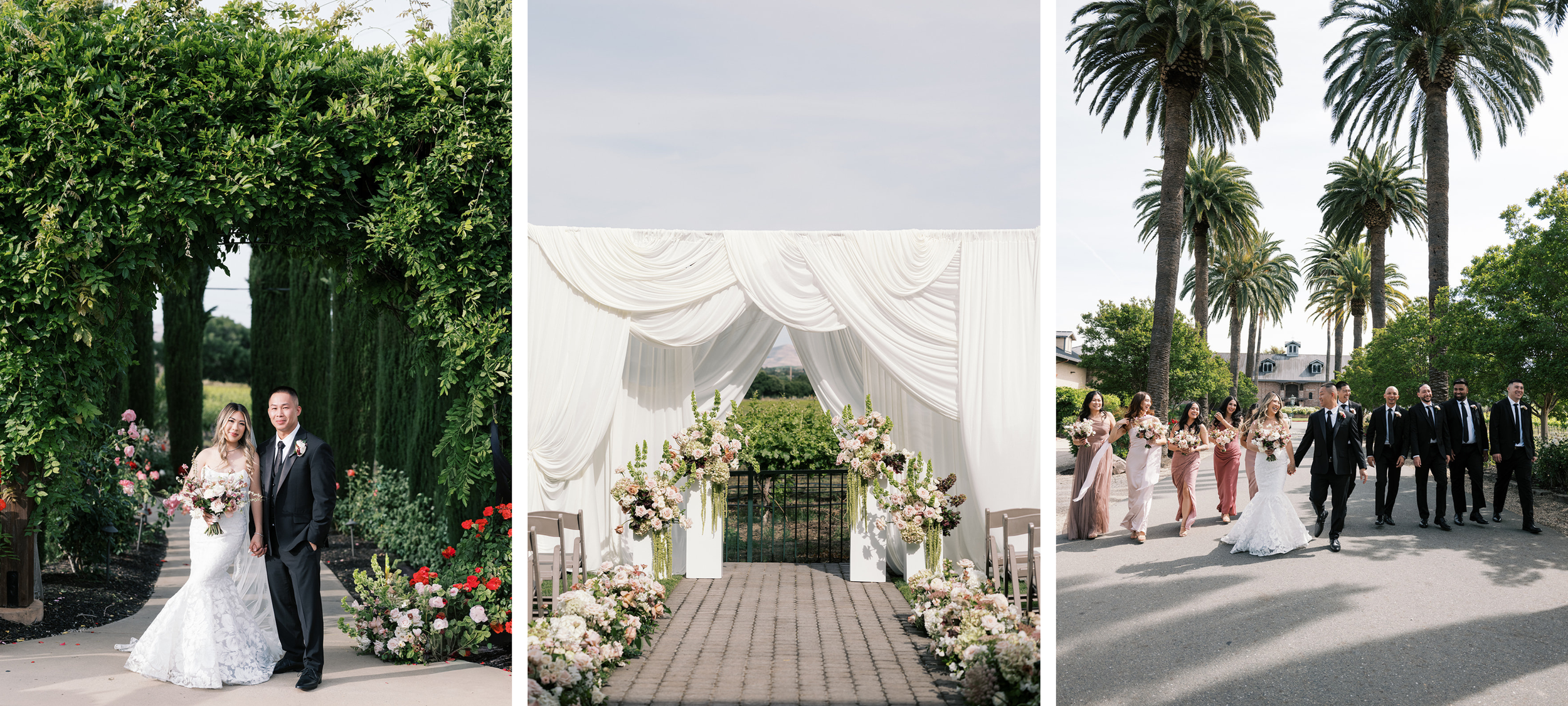 Copy of Copy of Copy of Copy of Copy of Copy of Copy of Copy of Copy of Copy of Copy of Untitled.png