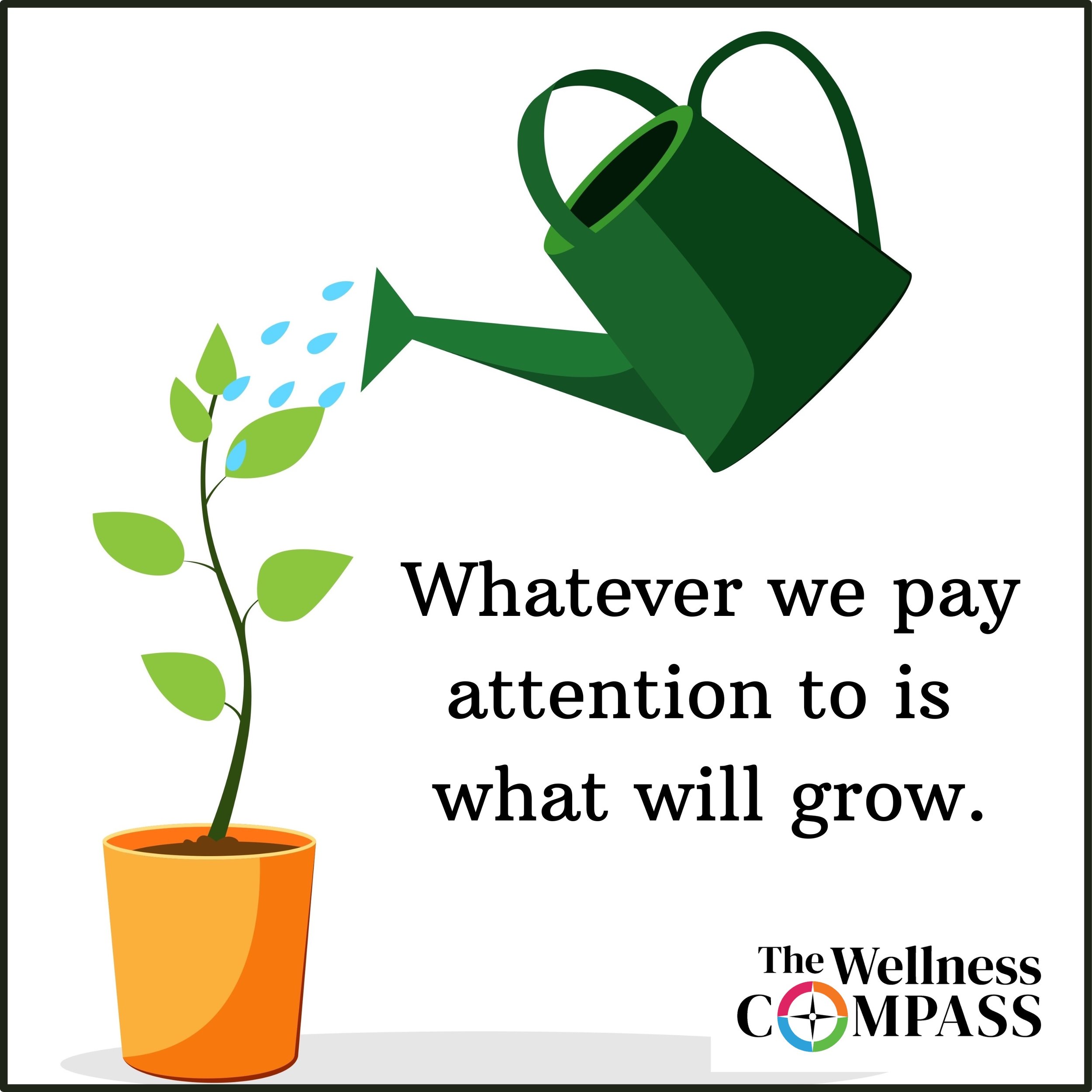 What We Pay Attention to in Our Relationships is What Will Grow, September 13, 2024