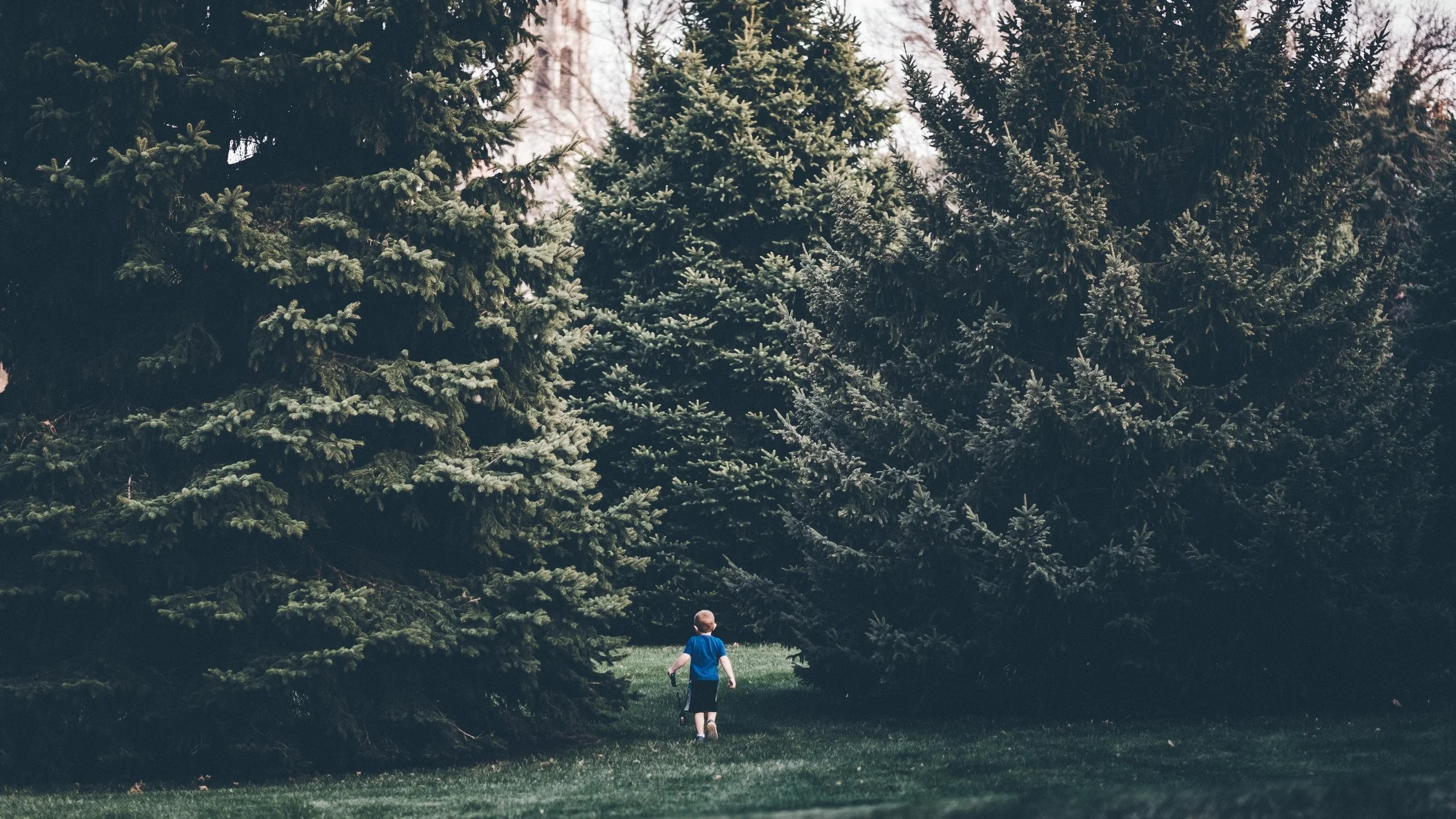 andrew-seaman-650349-unsplash.jpg