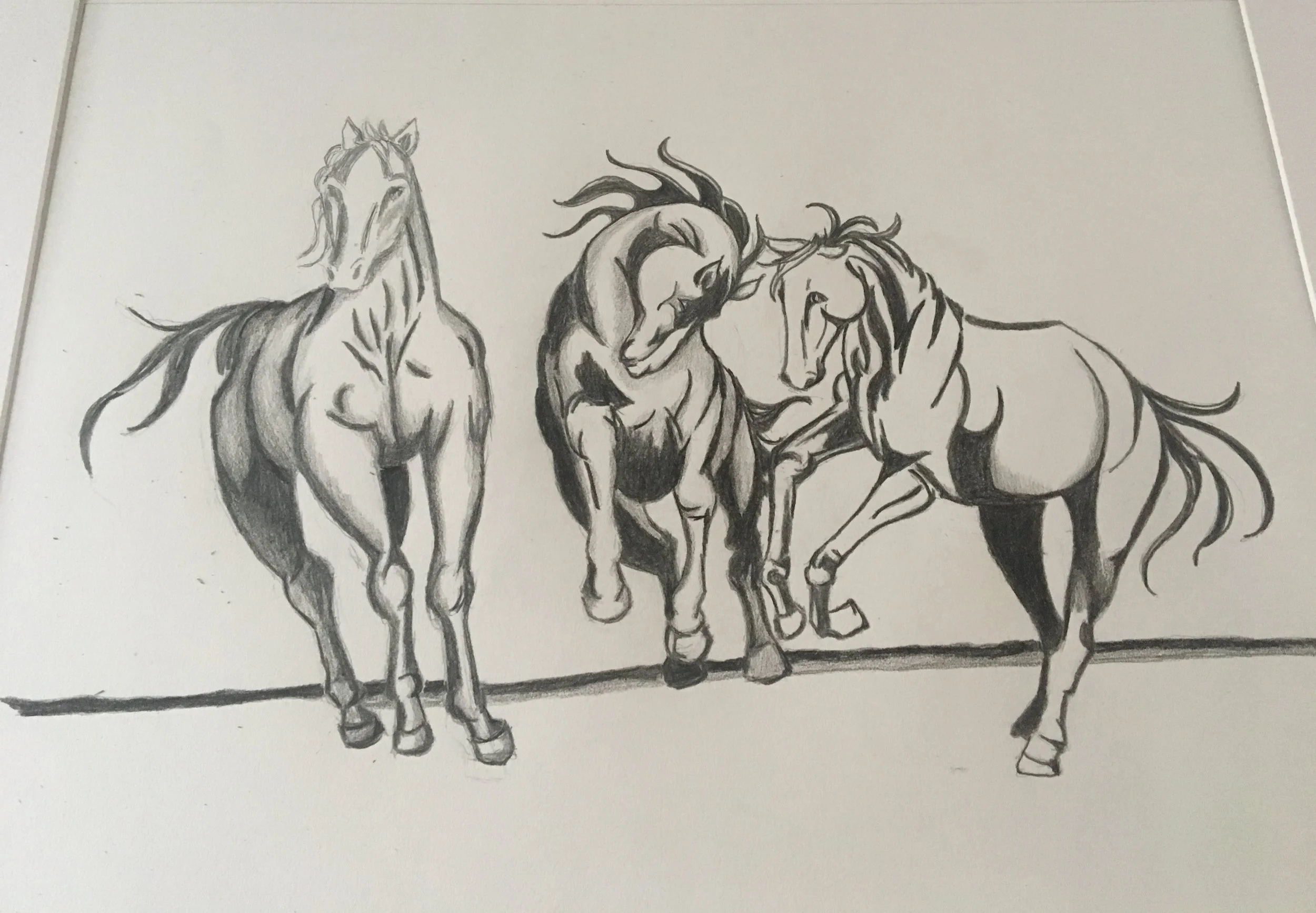 Horses