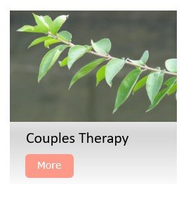 Couples therapy dr. tammy mikinski sastun associates.jpg