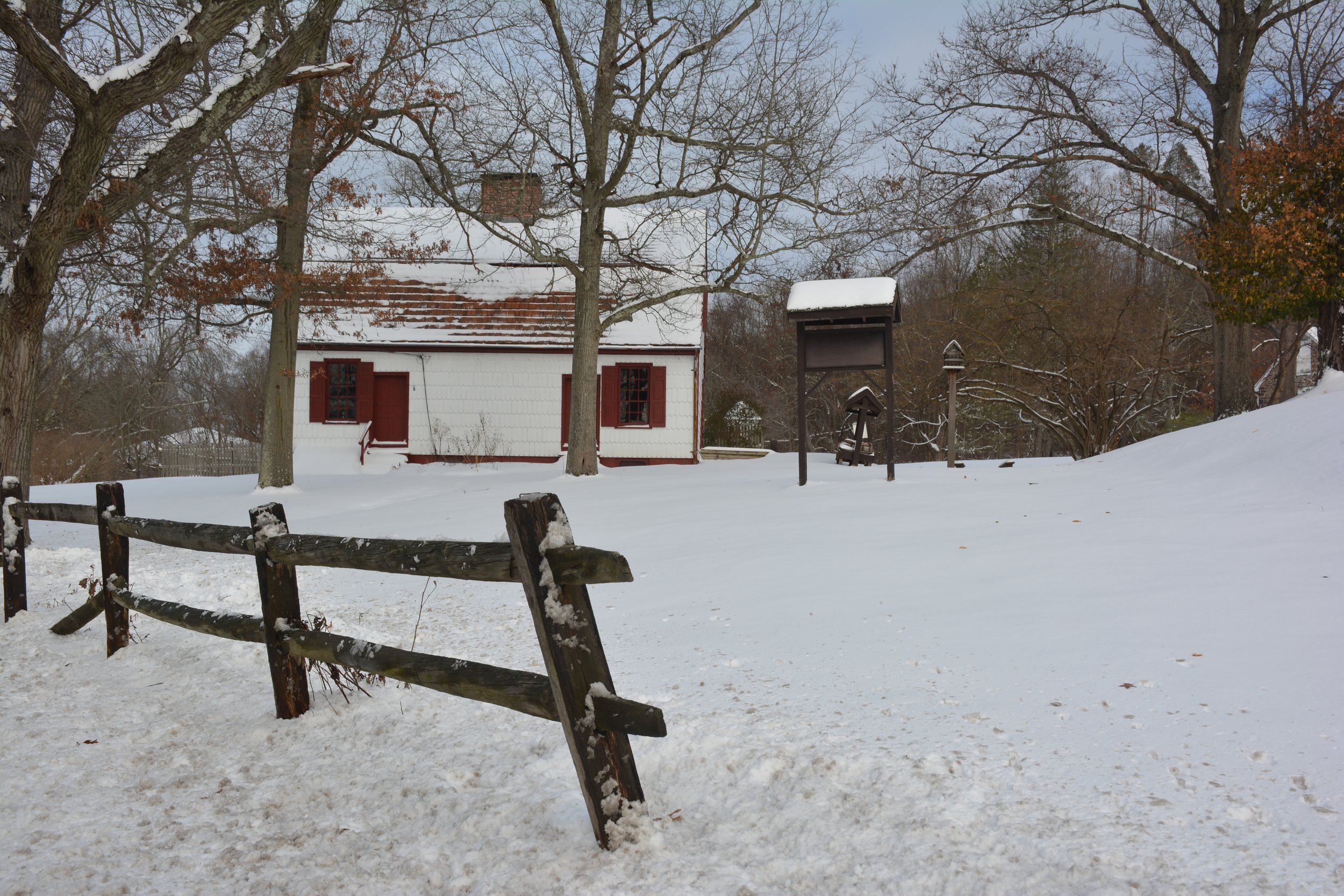 DSC_3713.JPG