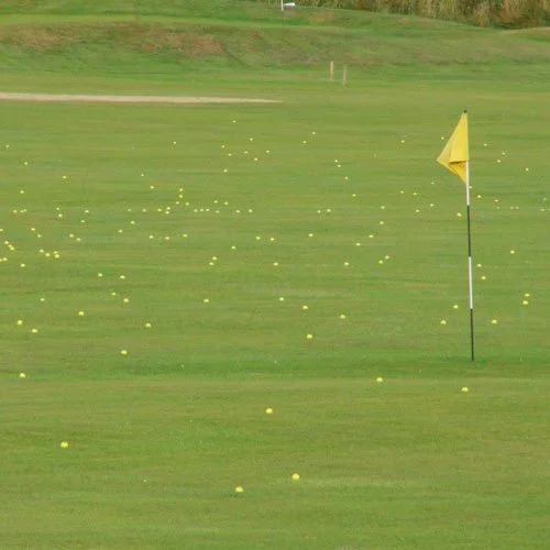 Golfers Basket