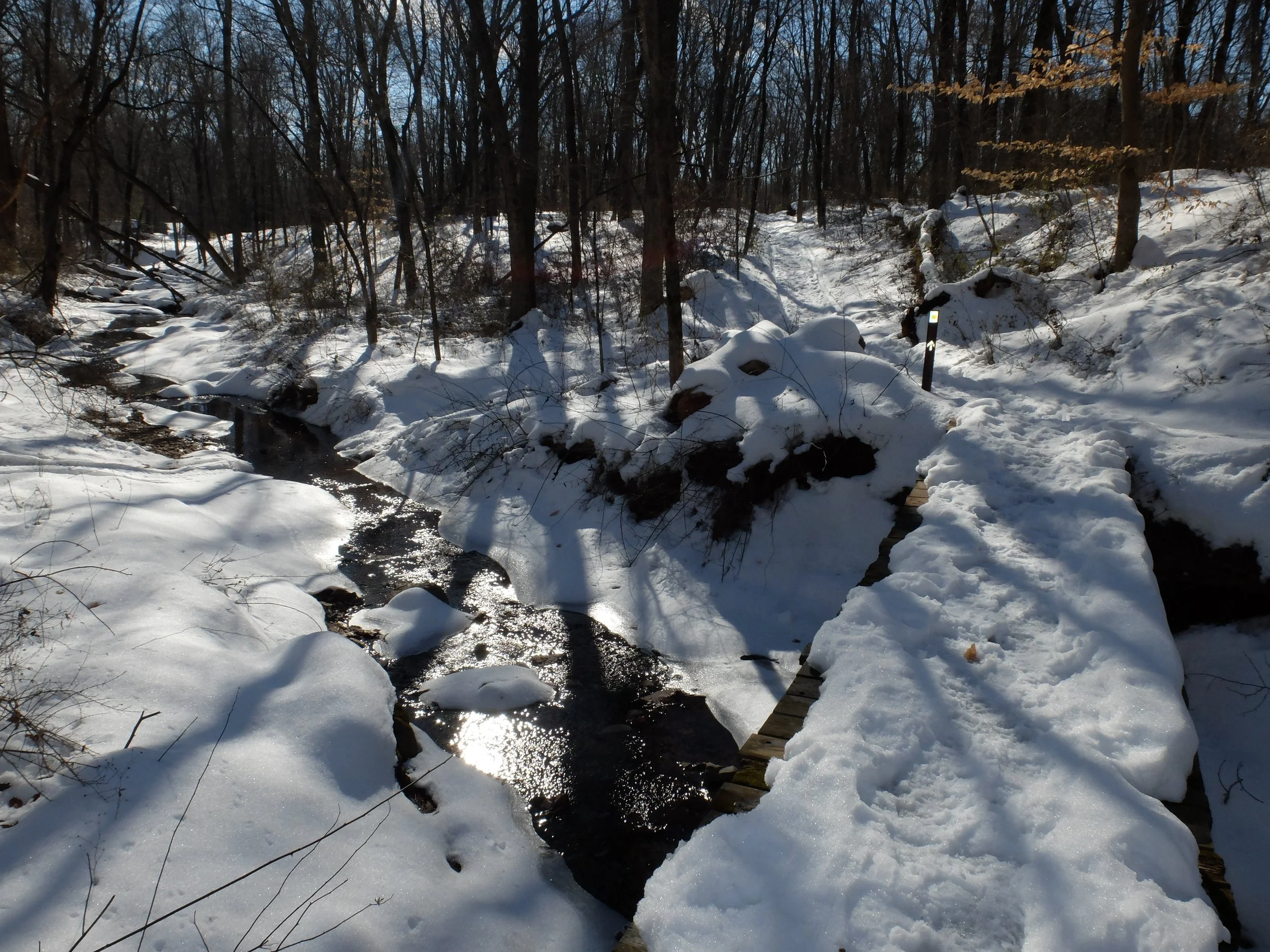 Winter Wildlife Walk