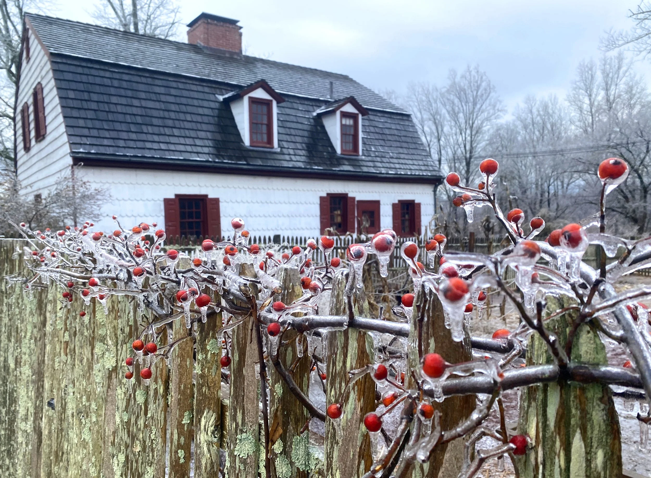 The Winter Garden: An Online Presentation