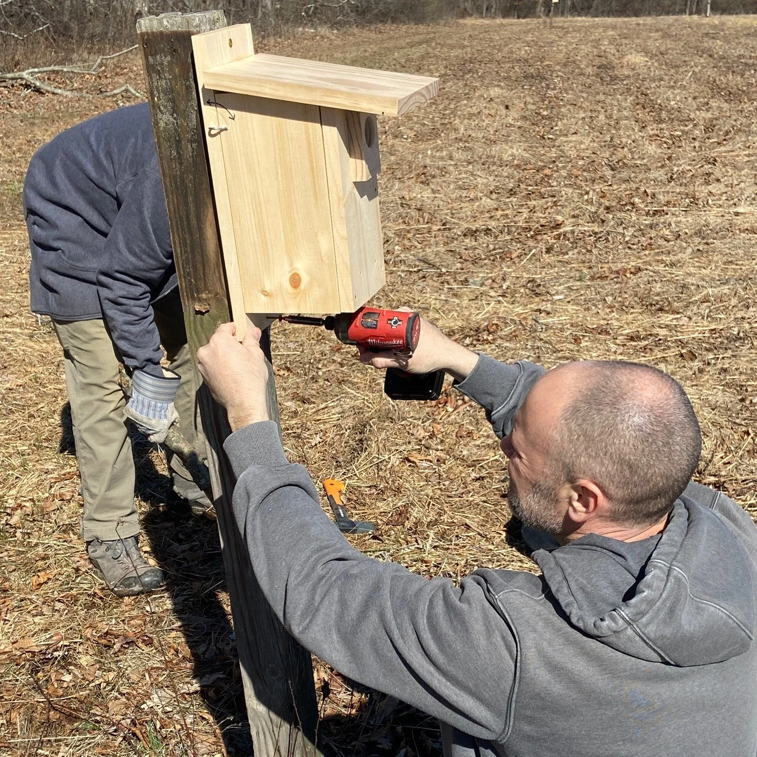 Bluebird Monitoring Workshop
