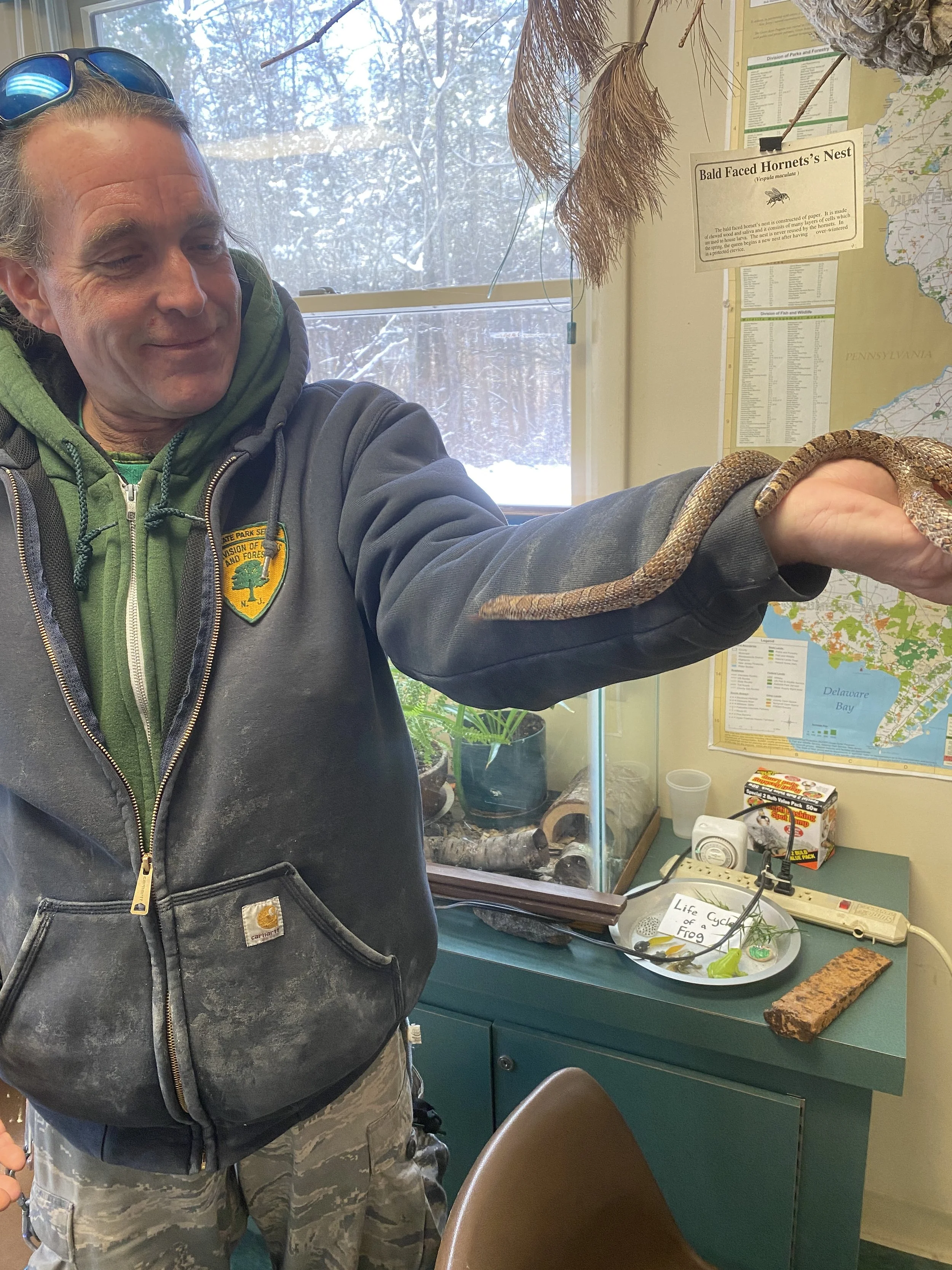 Beyond Bugs Wildlife Show&nbsp;