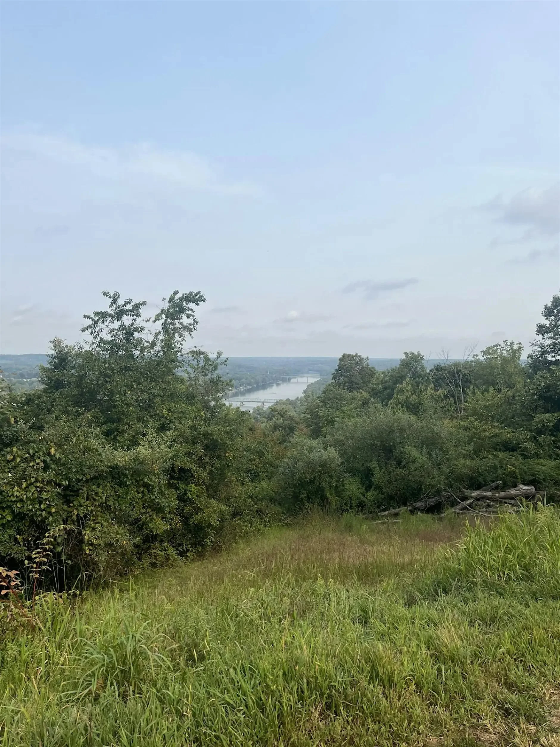 Spring Migration Madness at Goat Hill