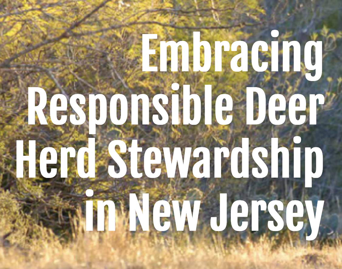 Embracing Responsible Deer Herd Stewardship in New Jersey