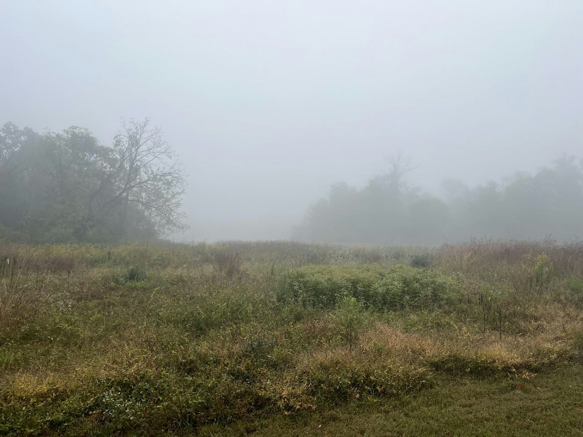 Fall Foliage Hike at Washington Crossing State Park