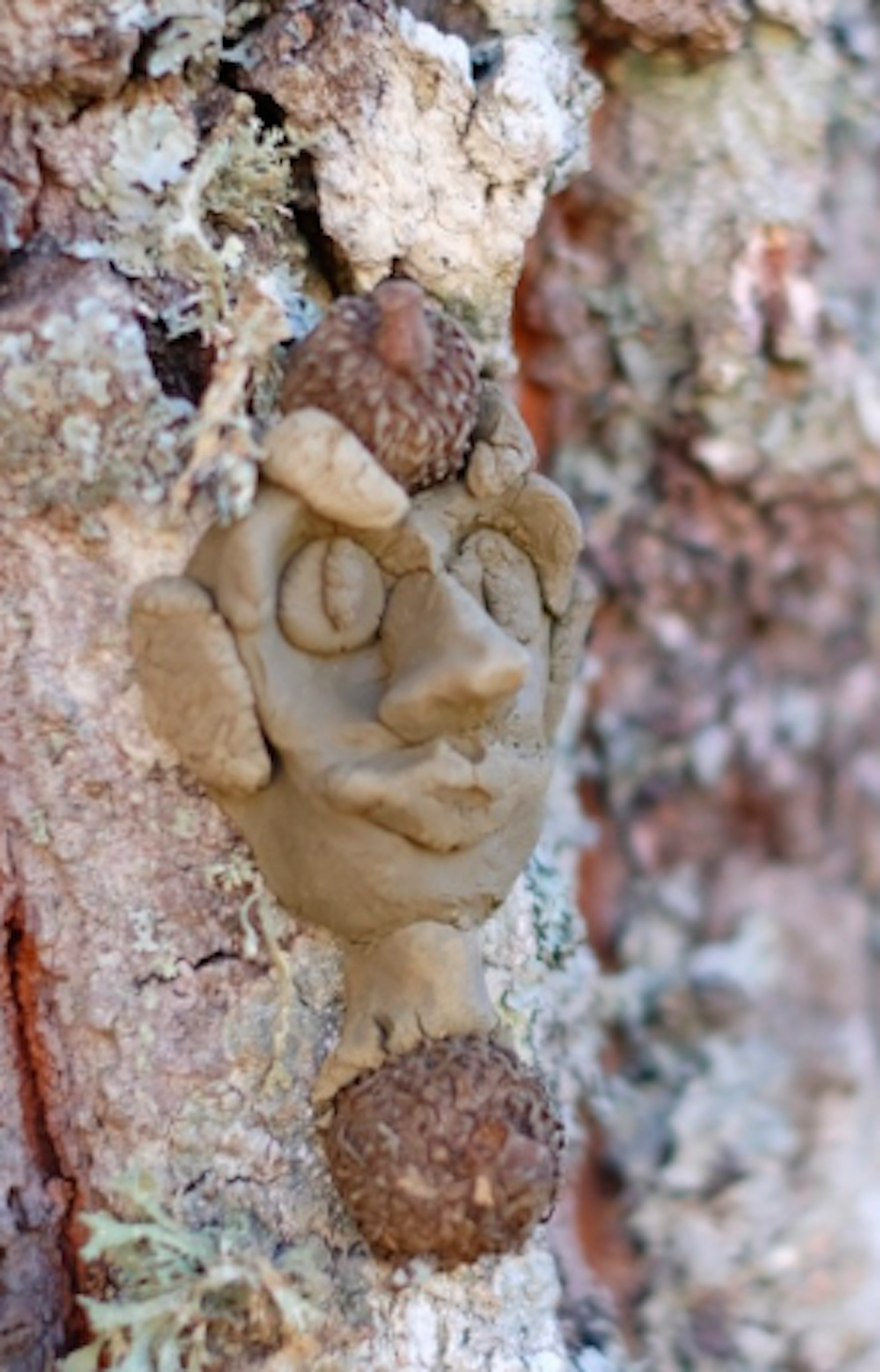 Faces of the Forest - Natural Clay Shaping