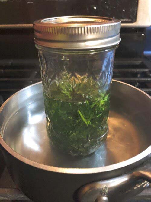 oleo+de+coco+com+maconha.jpg