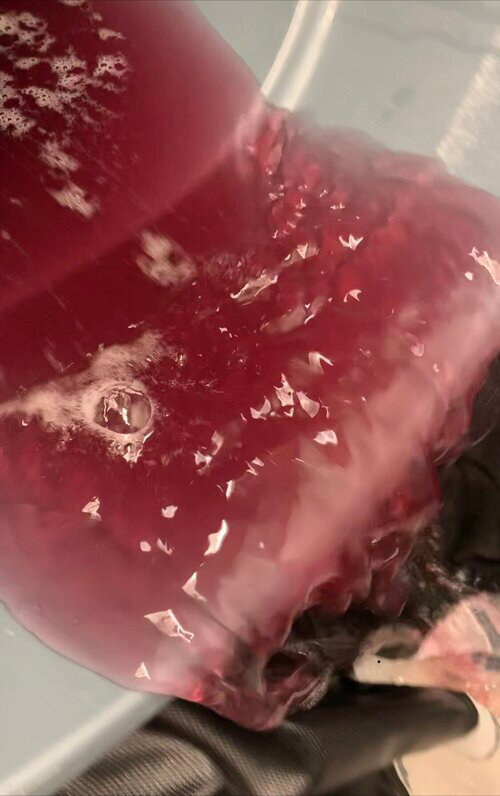 Anthocyanin is responsible for the red water from bubble hash washing