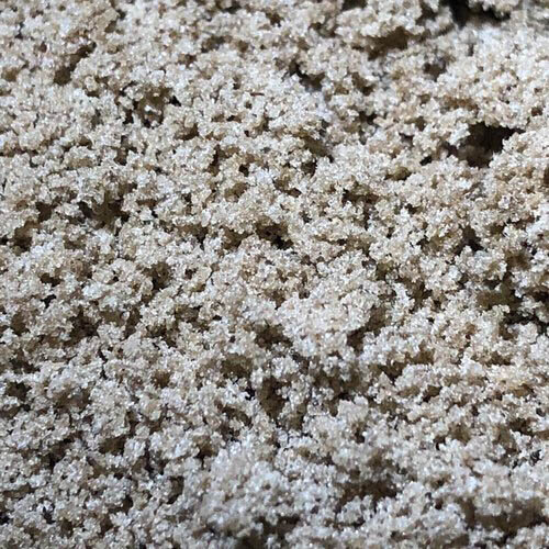 Milky trichome heads
