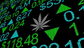 Investimento em ações no mercado da cannabis
