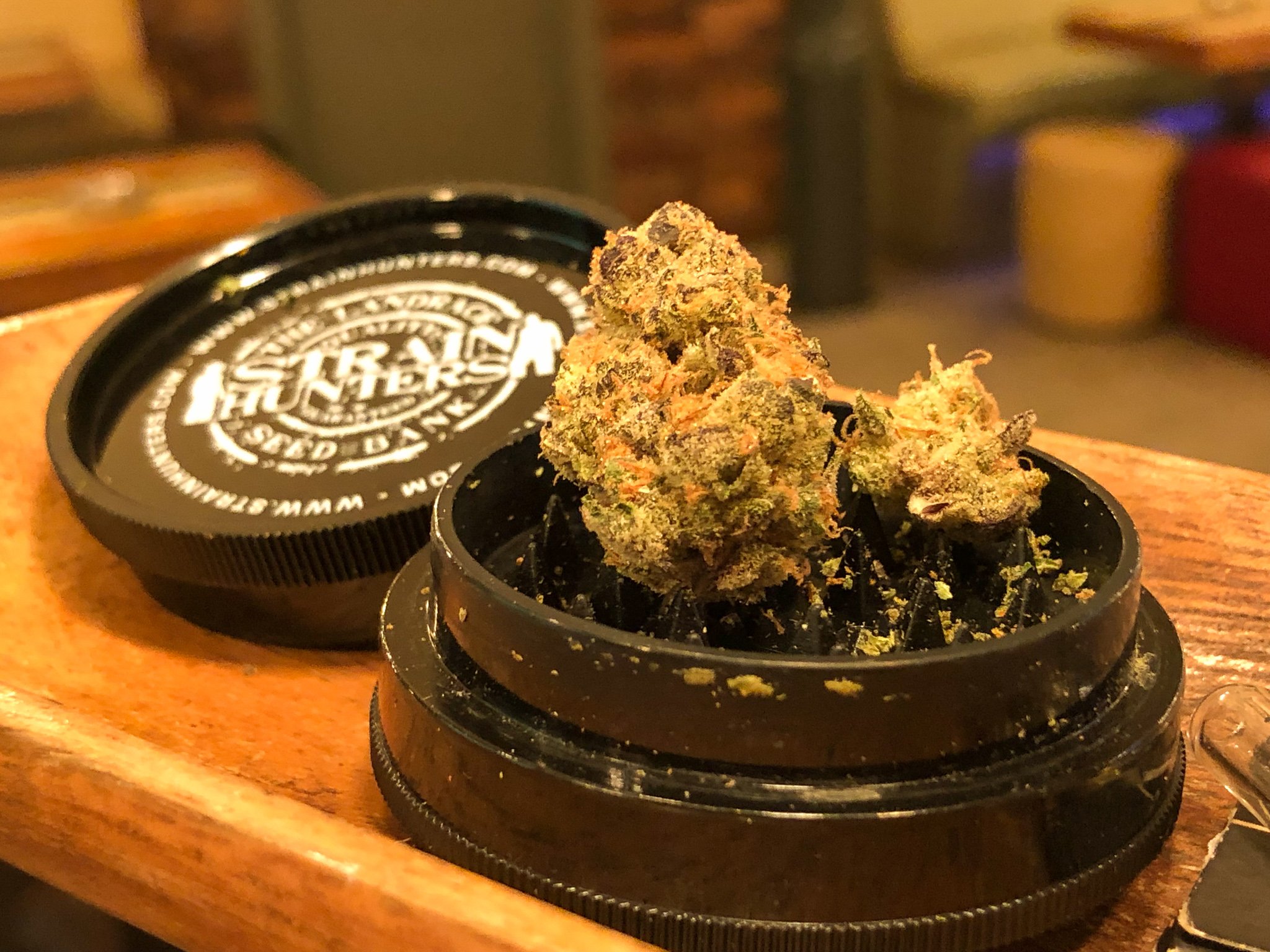 Bud de maconha no dichavador