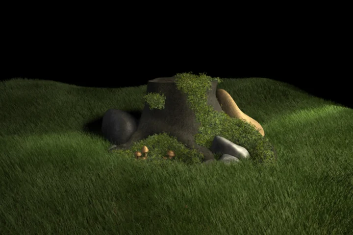 Tree_Stump.jpg