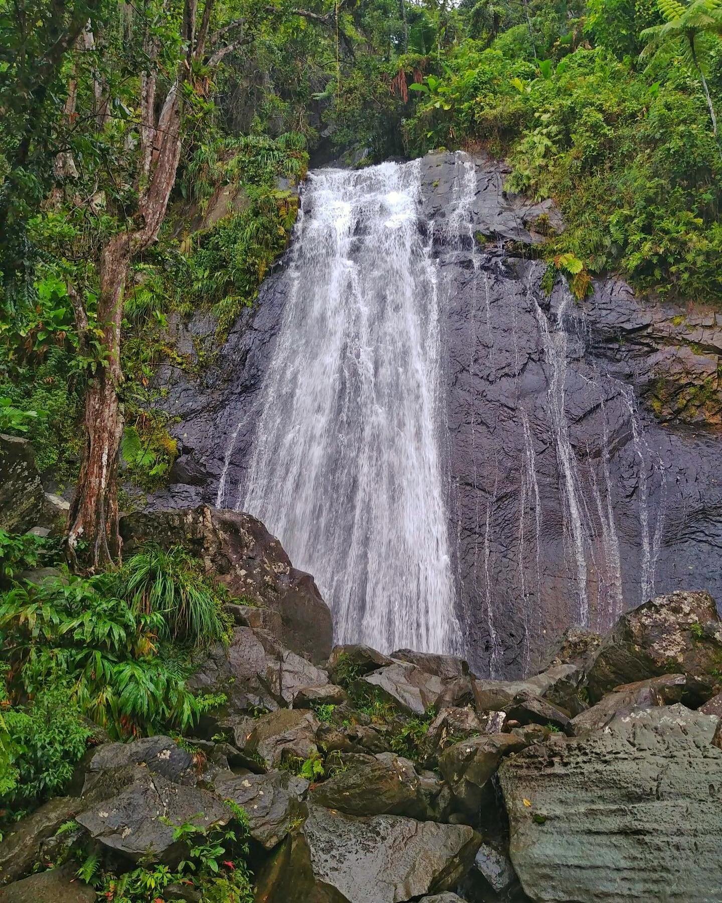 #ElYunque 🇵🇷 📷: @drimedia 

The El Yunque National Forest is the only tropical rainforest in the national forest system.  At nearly 29,000 acres, it is one of the smallest in size, yet one of the most biologically diverse. 

El Bosque Nacional El 