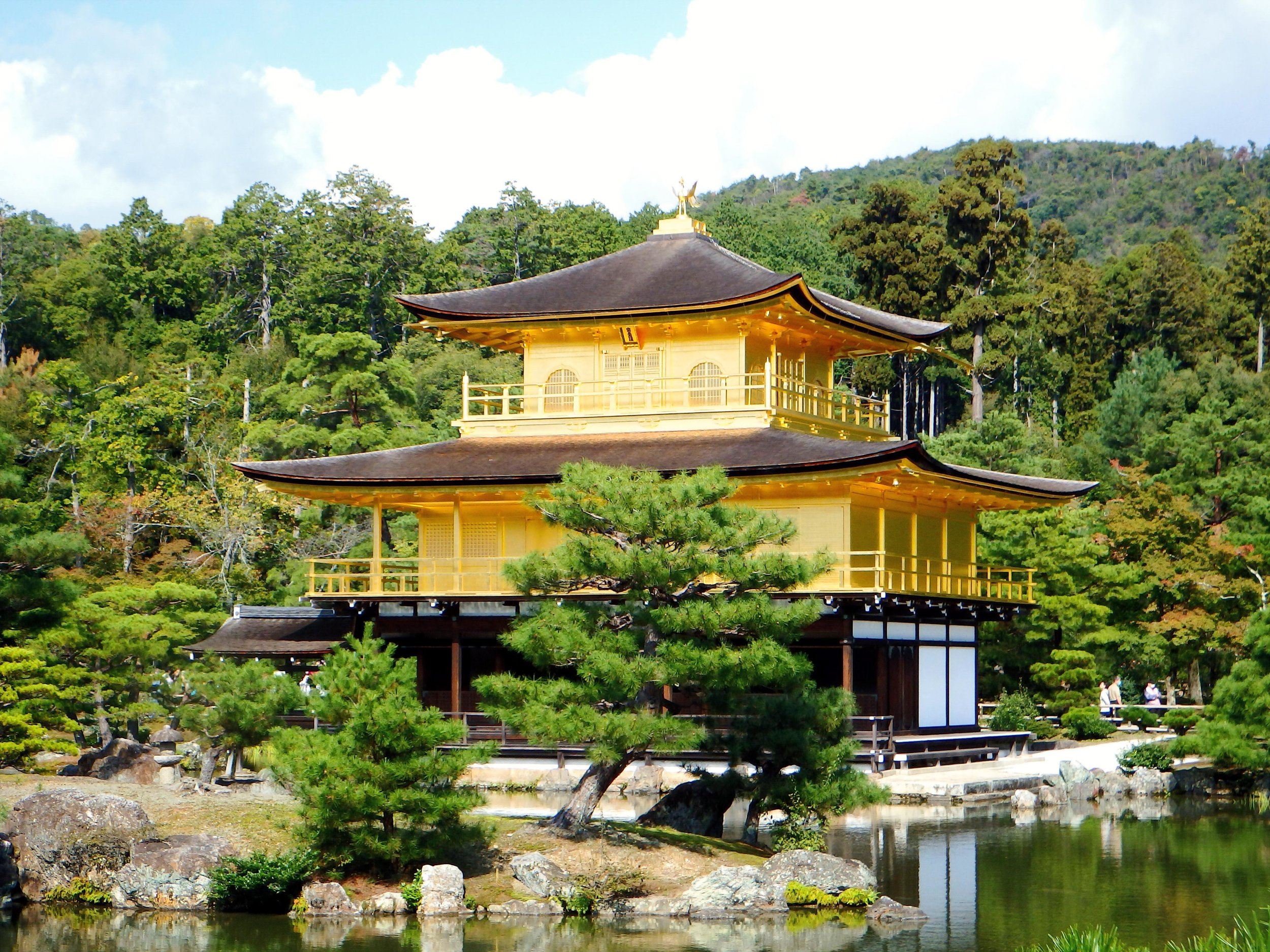 PA270111aa - Copy.JPG