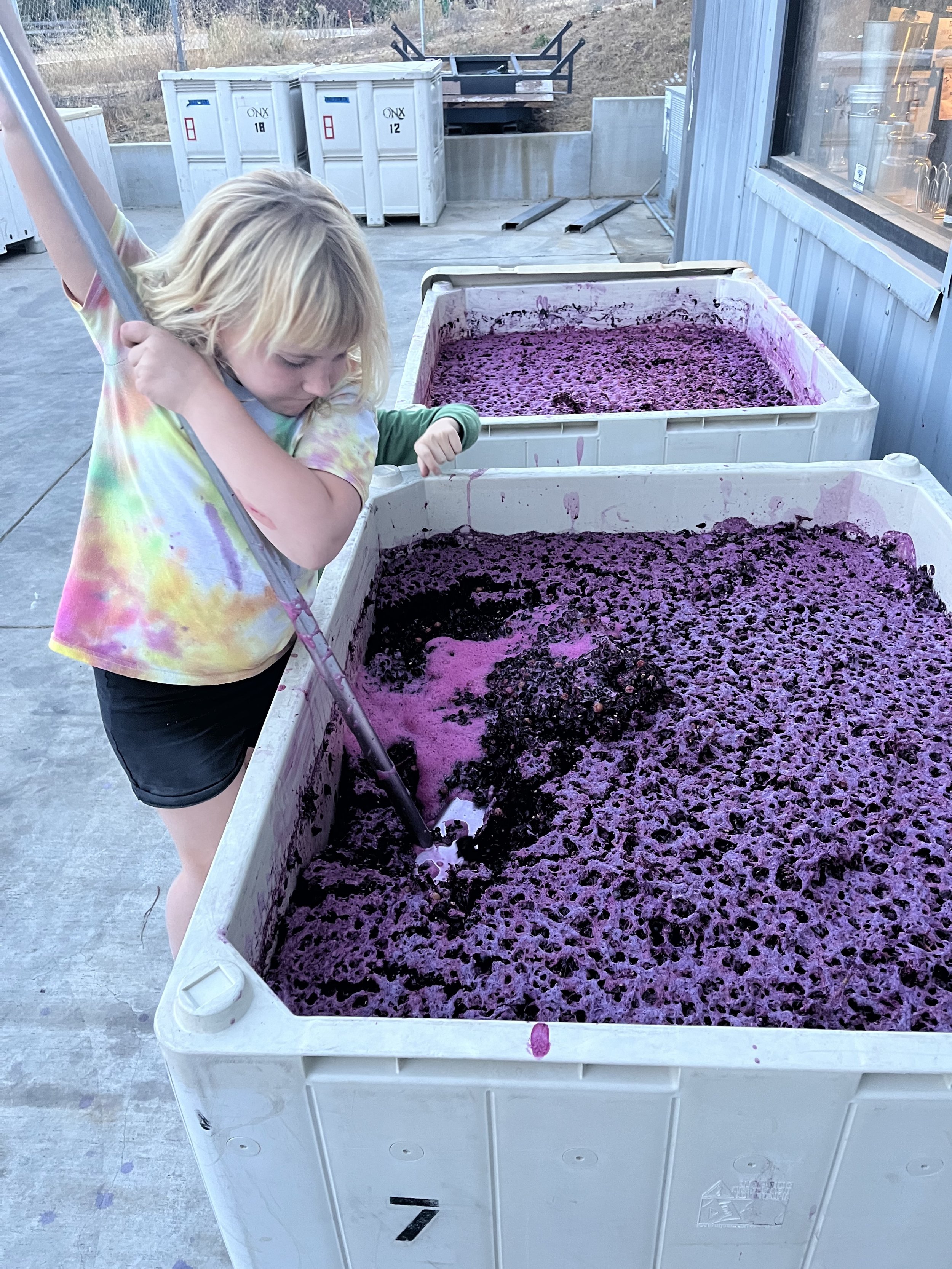 canyon punchdown.jpg