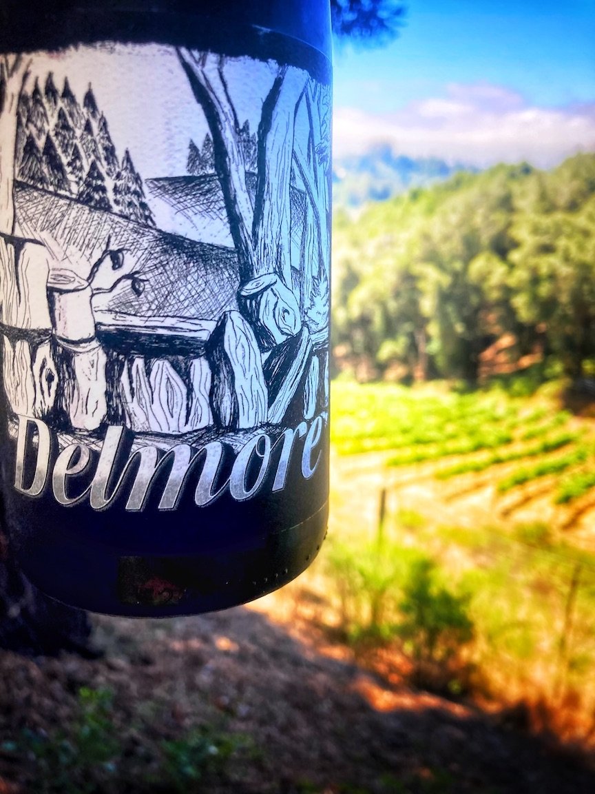 2023 Pinot Noir Santa Cruz Mountains