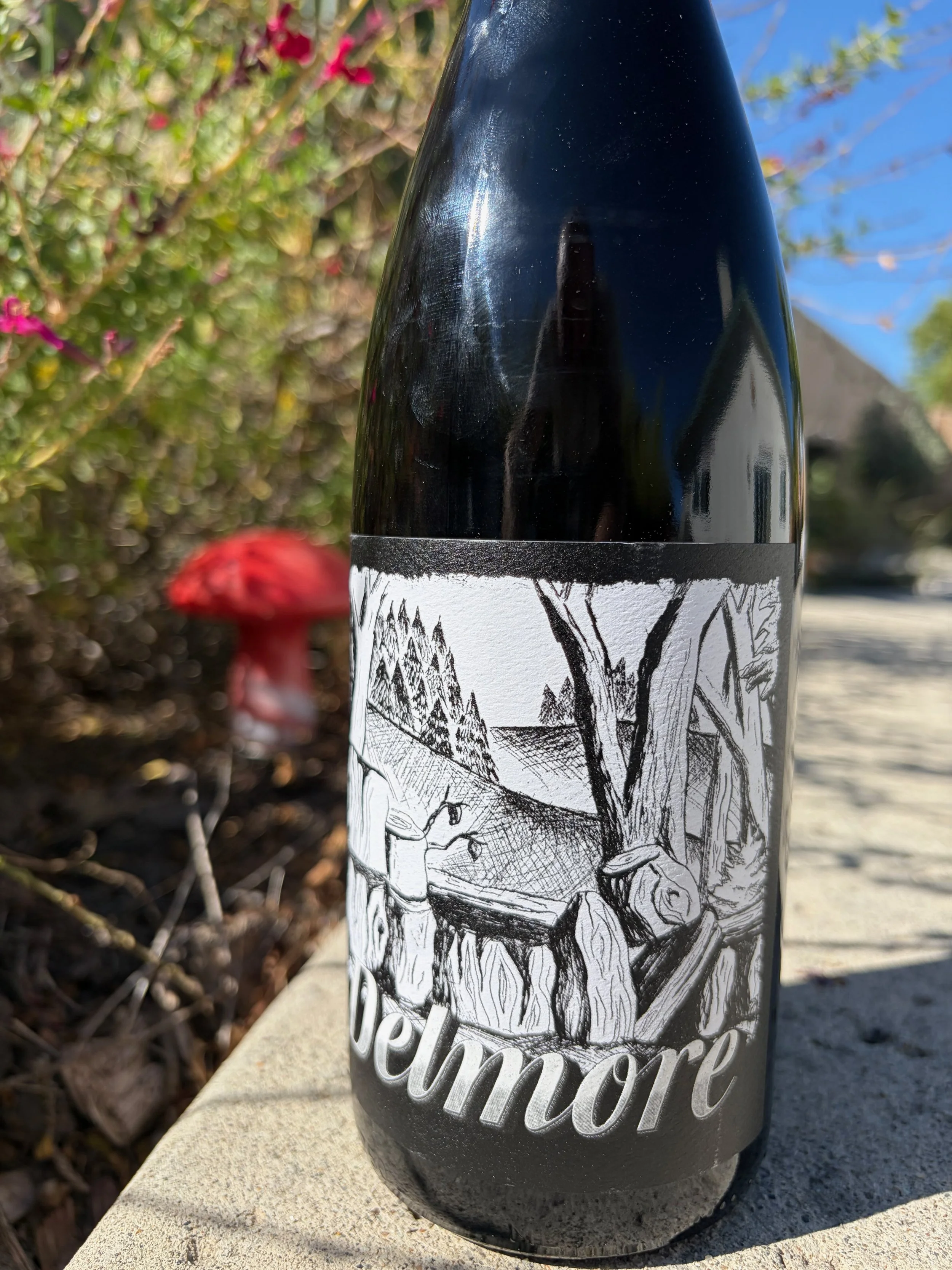 2025 Pinot Noir Deer Ridge Trail Santa Cruz Mountains