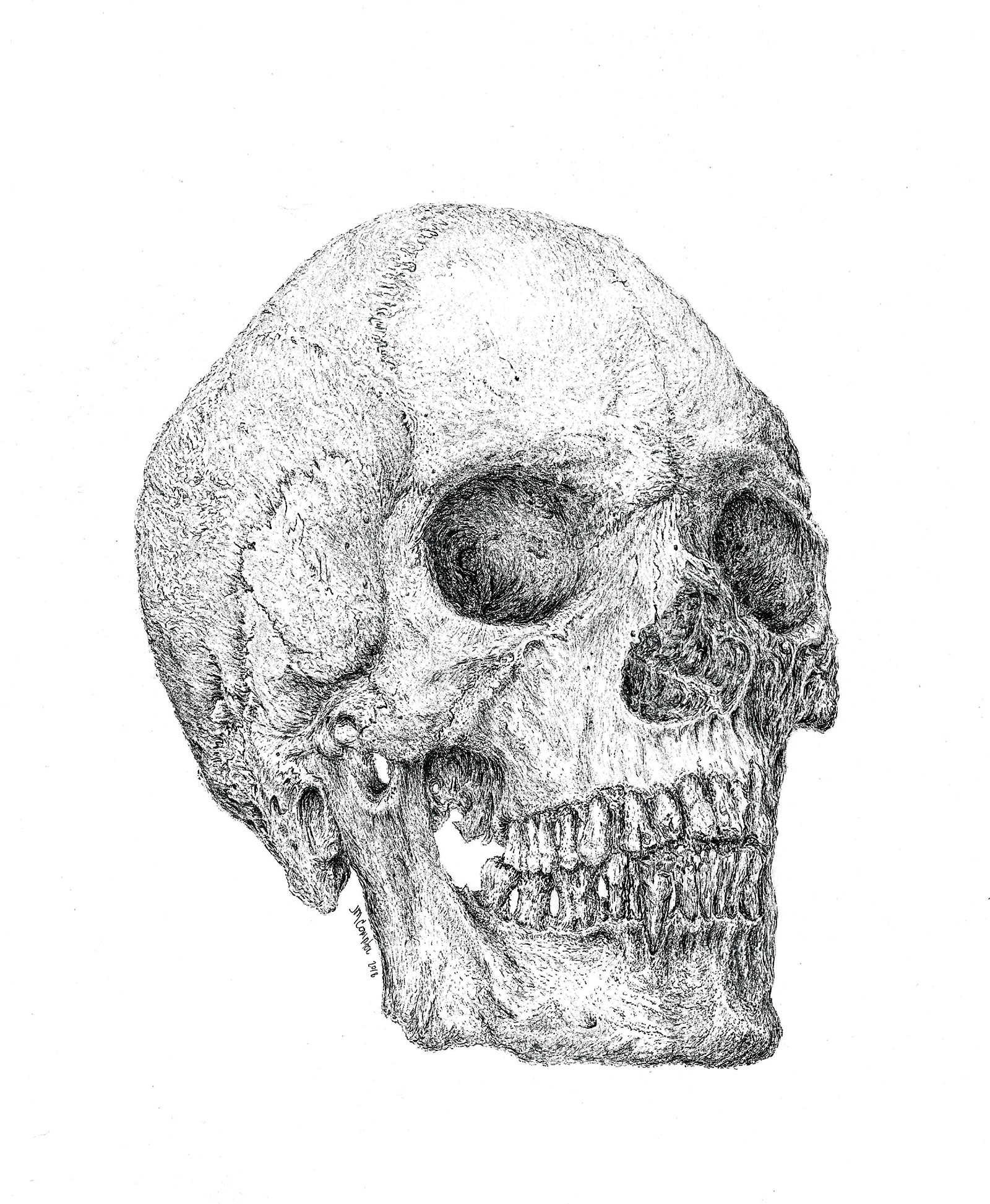 Skull #14