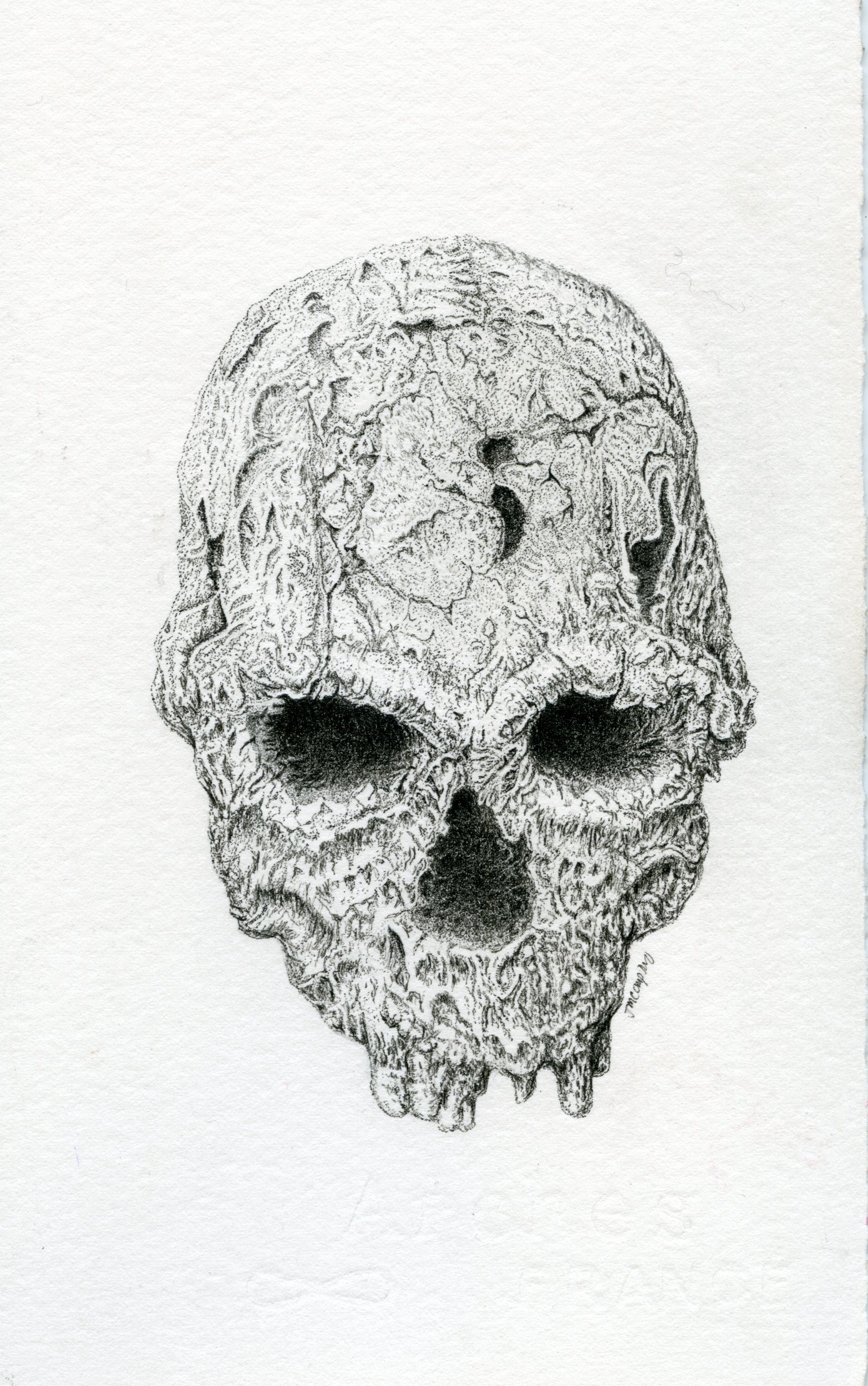 skull077-1.jpg