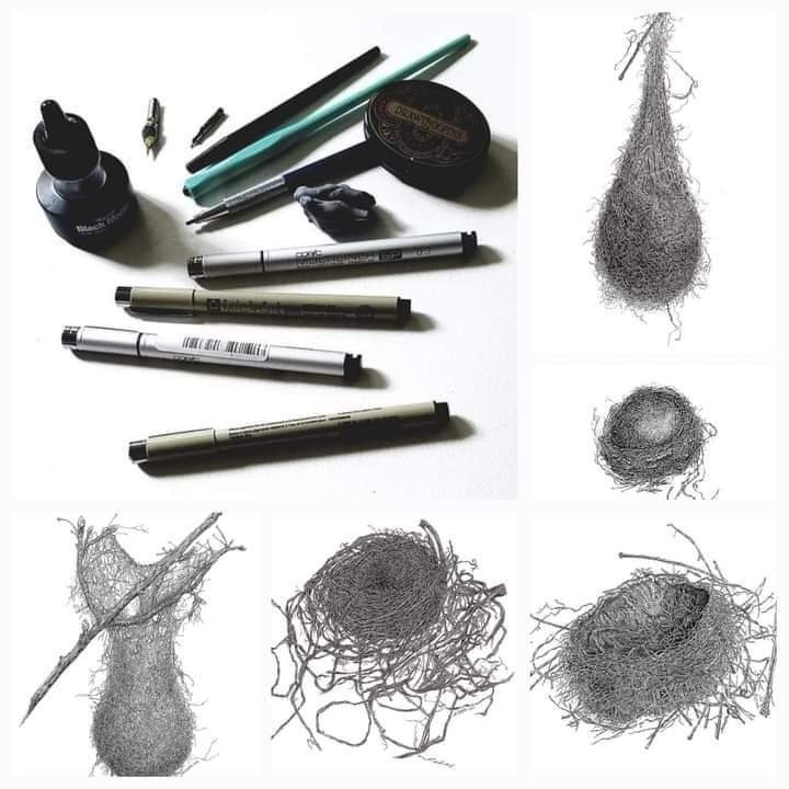  I'm looking forward to teaching Nests in Pen and Ink once again, in person, through the Yale Peabody Museum's Natural Science Illustration Program at Yale West Campus.  The four week workshop will run for four consecutive Saturday mornings, Septembe