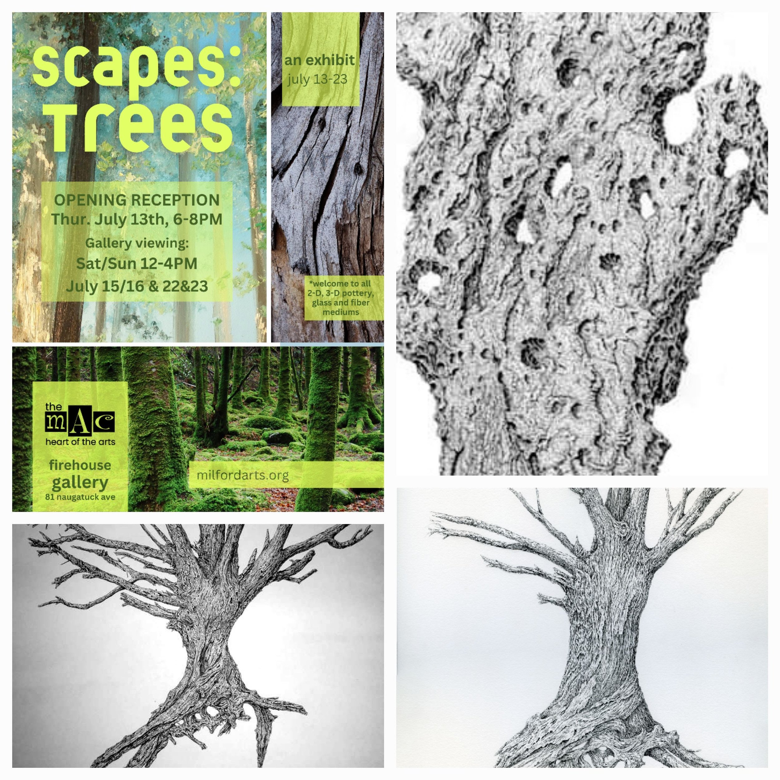 Scapes: Trees Milford Arts Council 