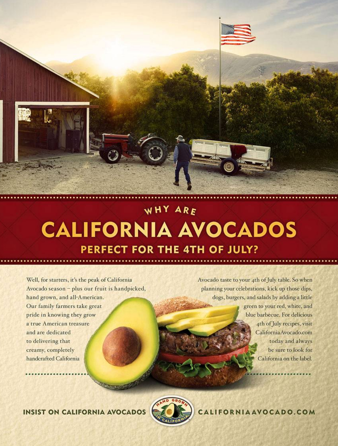 Matt California Avocados.jpg