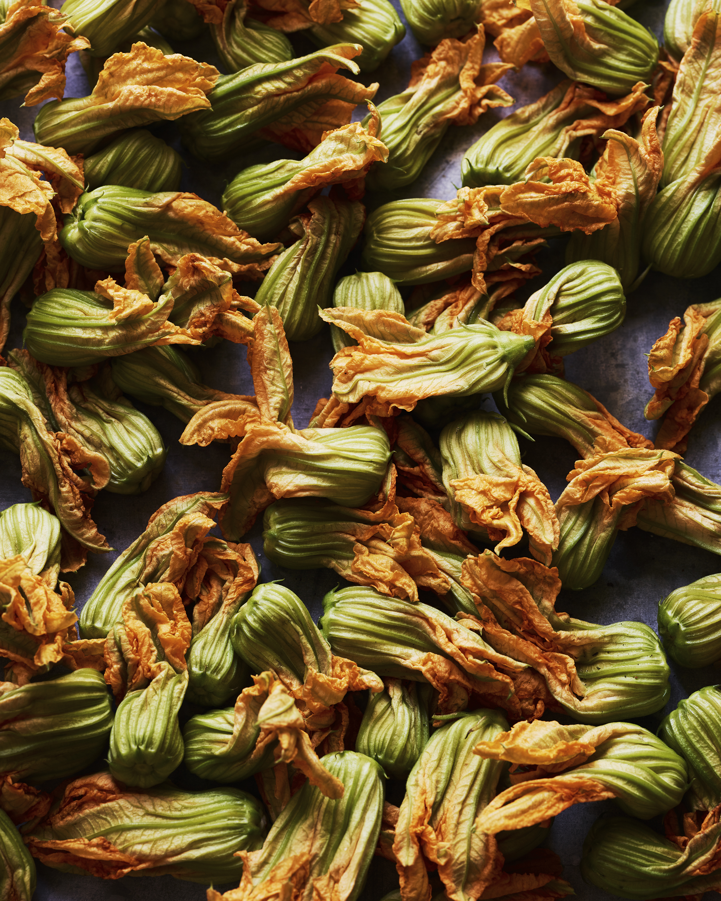 Squash Blossoms Matt.jpg