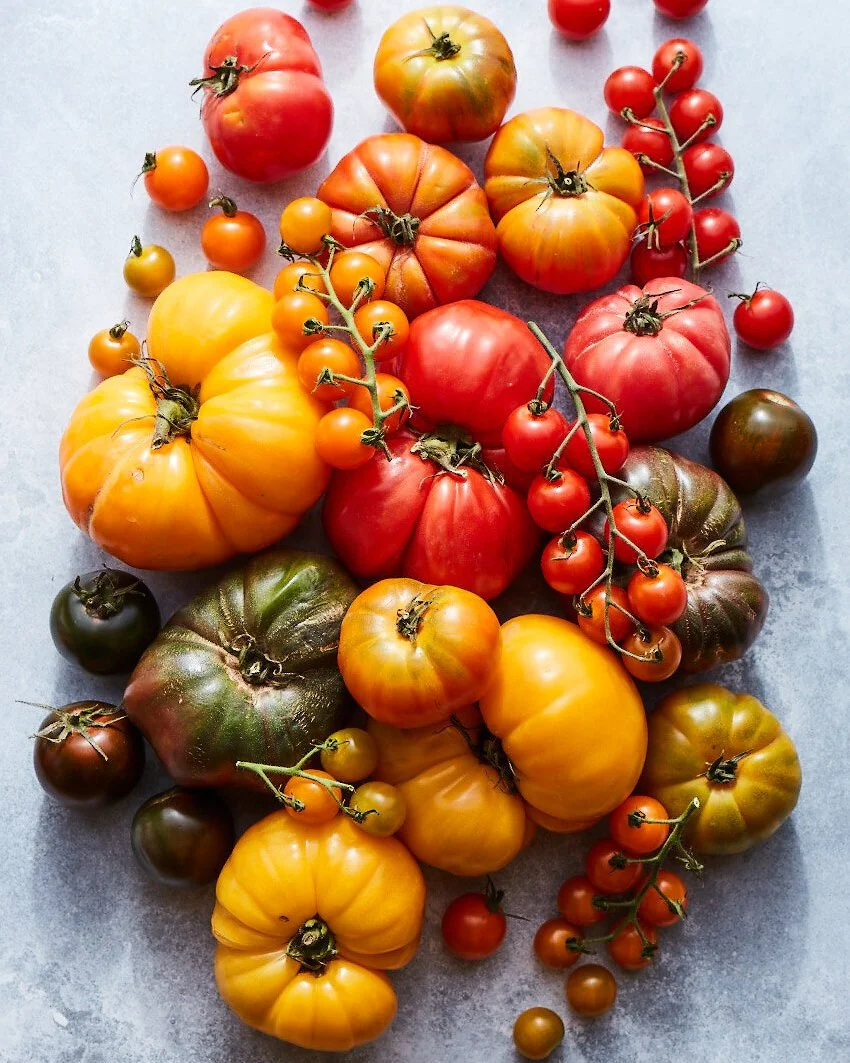 Tomato Bounty Matt Armendariz Food Photographer_005.jpeg