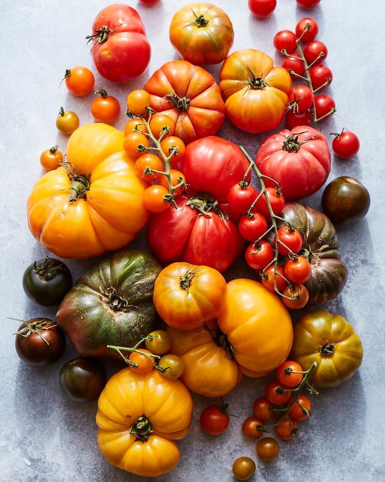 Tomato+Bounty+Matt+Armendariz+Food+Photographer_005.jpeg