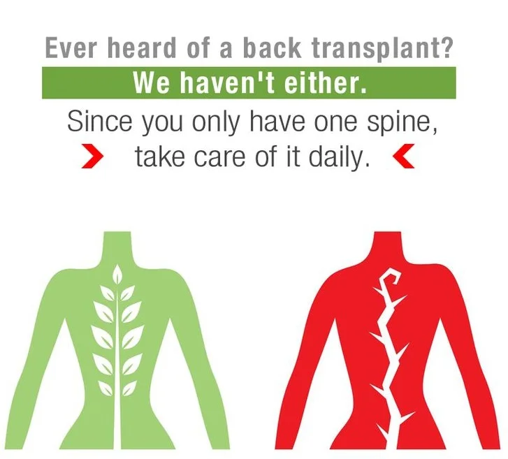 f59d17ed142f773256c0e91a12766792--chiropractic-clinic-chiropractic-wellness.jpg