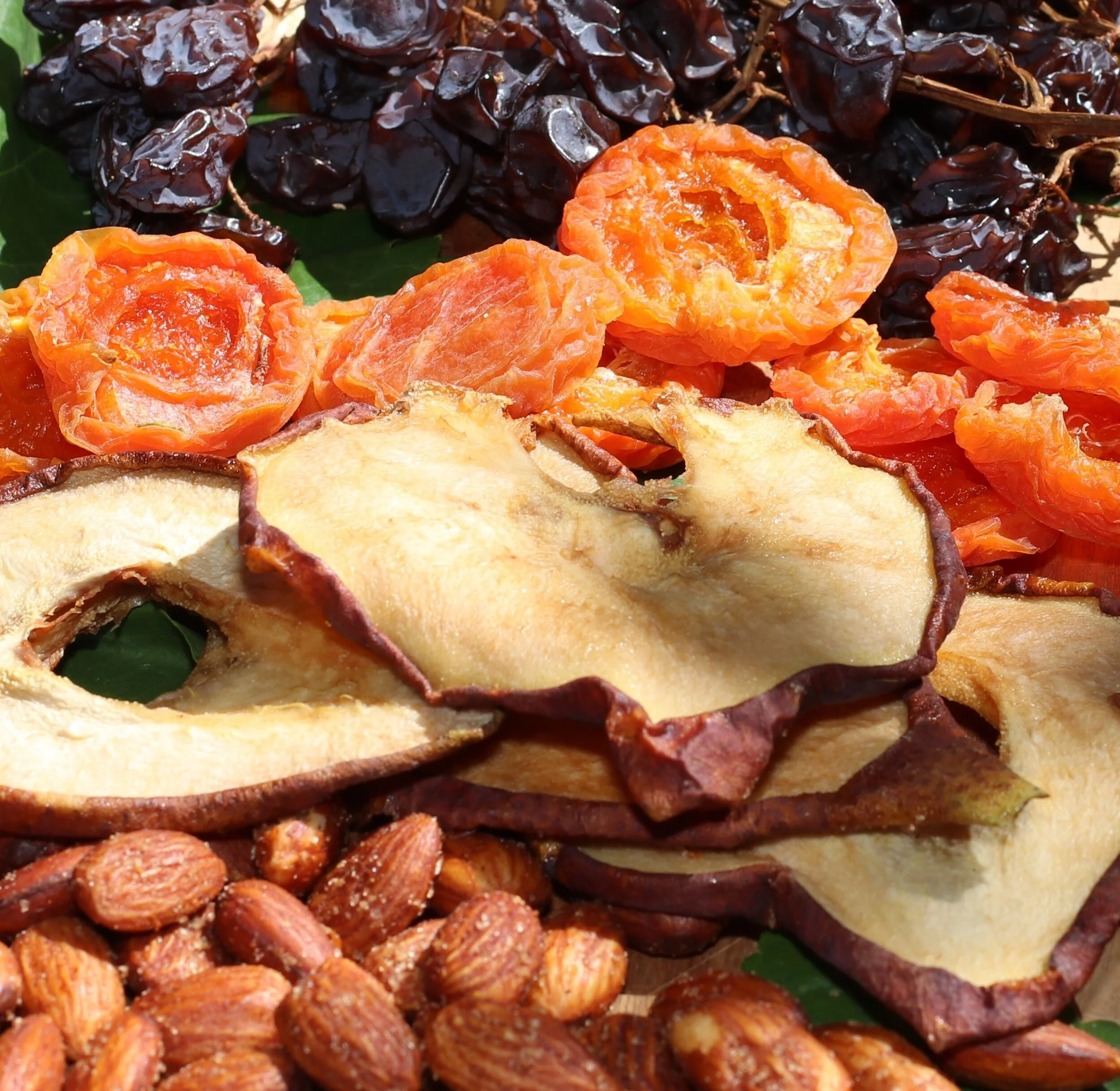 fruit & nut 1.jpg