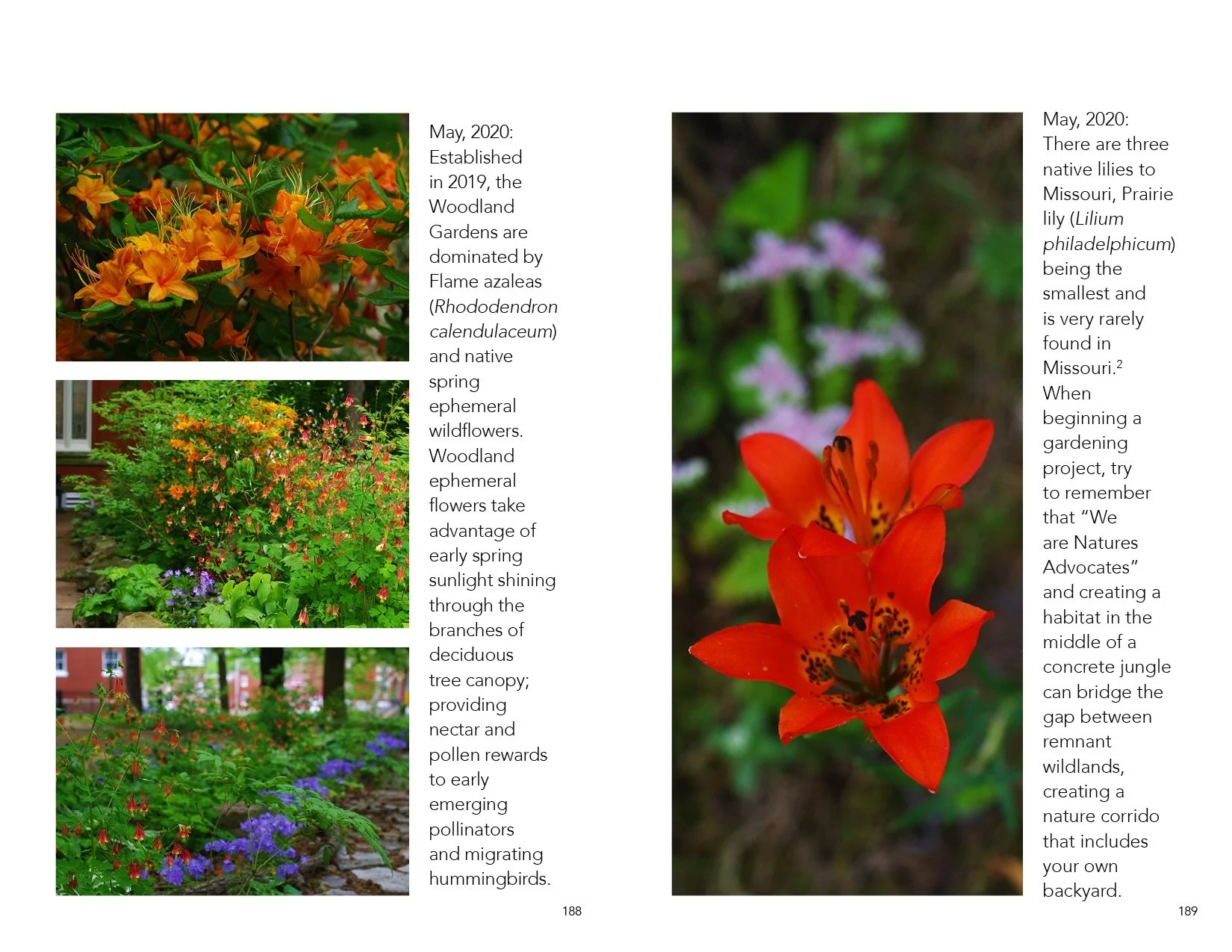 Catalog.Draft.3095.smaller.jpeg