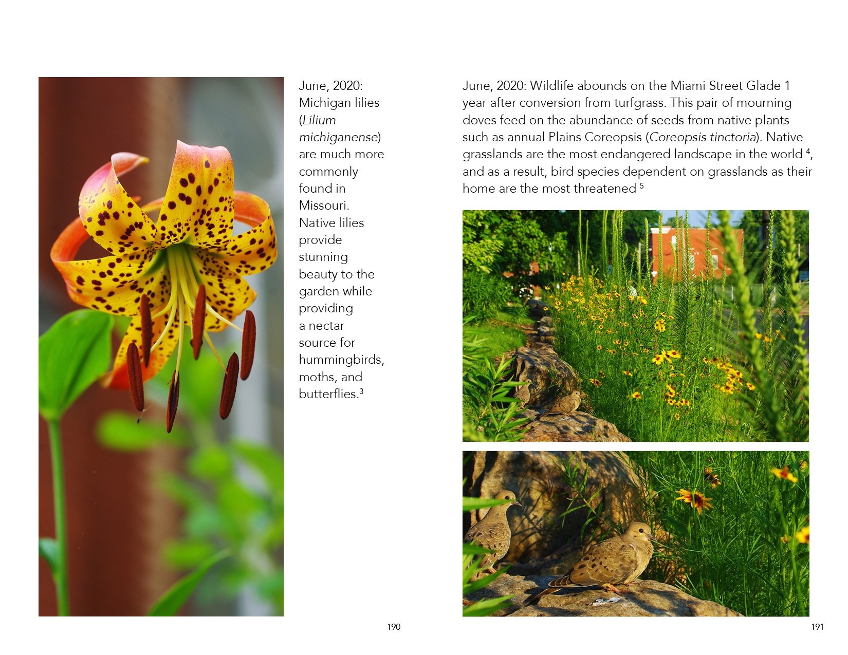 Catalog.Draft.3096.smaller.jpeg