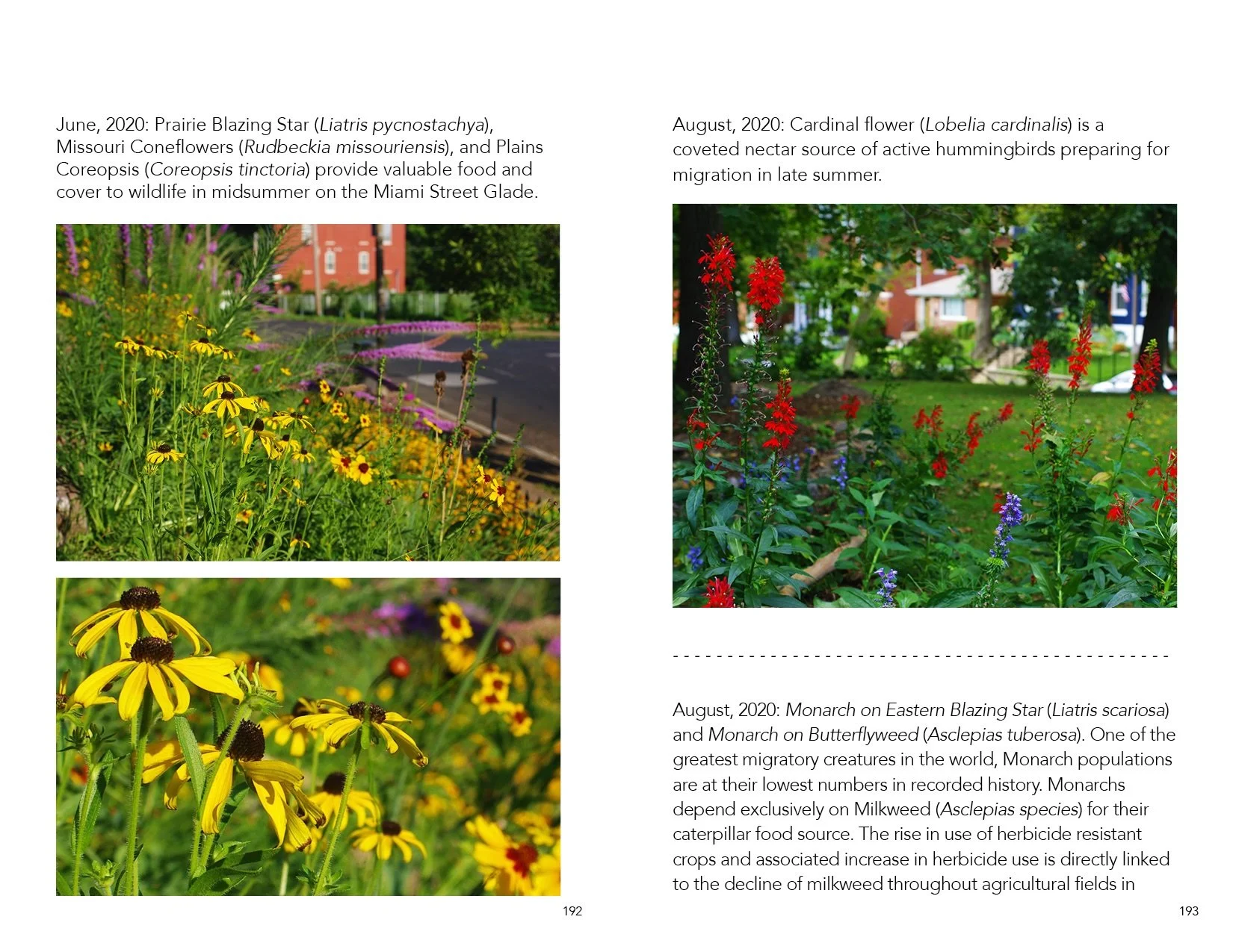 Catalog.Draft.3097.smaller.jpeg
