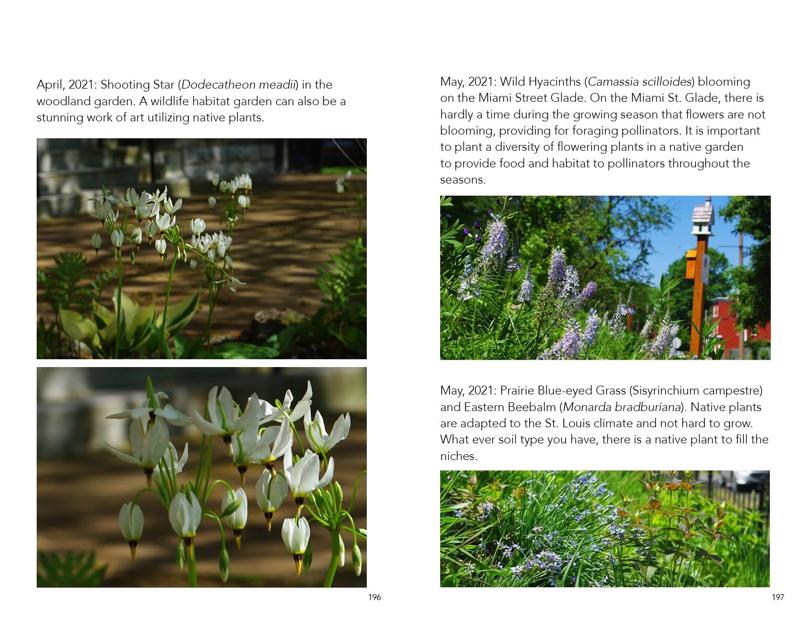 Catalog.Draft.3099.smaller.jpeg