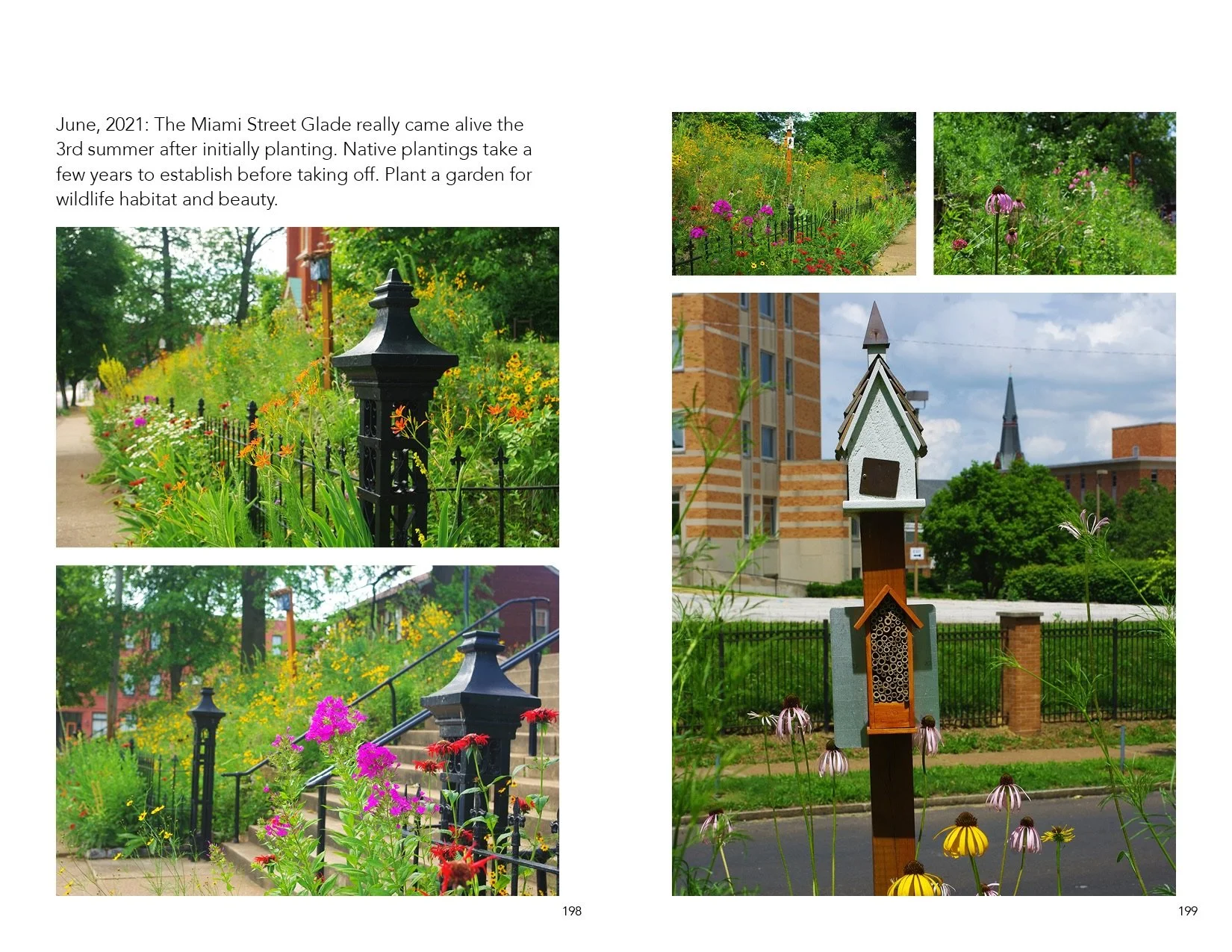 Catalog.Draft.30100.smaller.jpeg