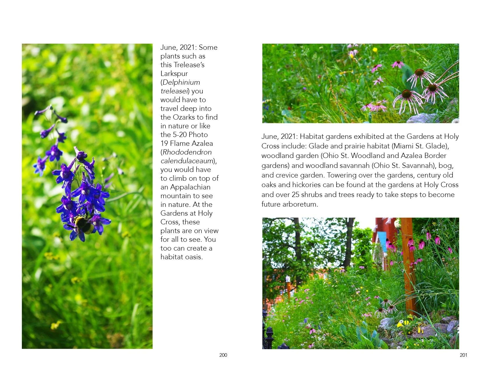 Catalog.Draft.30101.smaller.jpeg