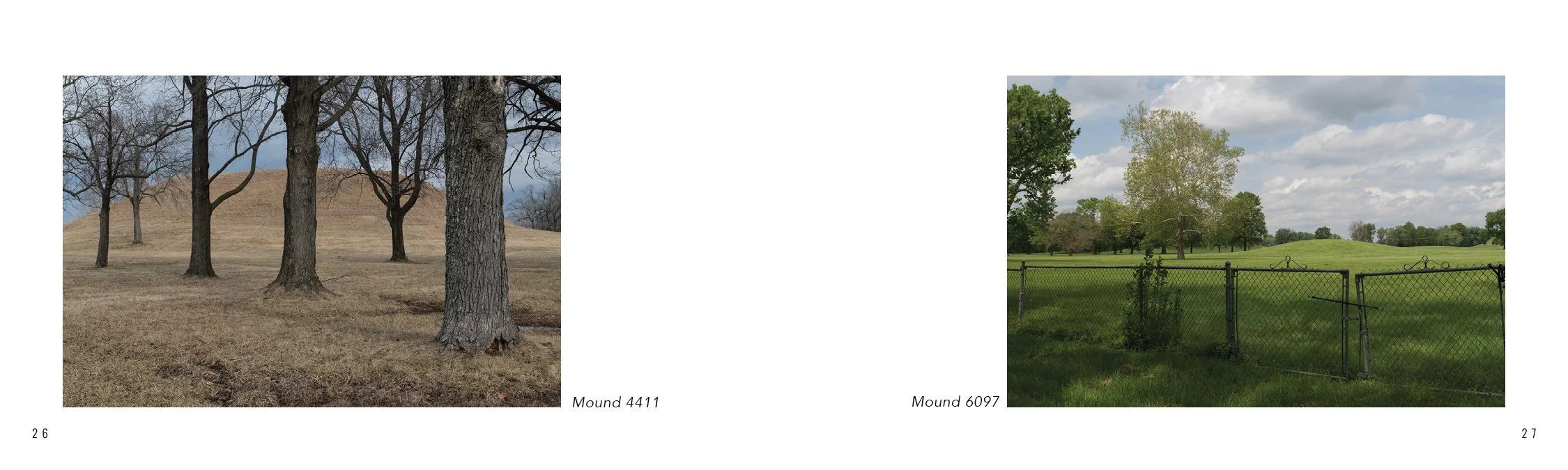 Catalog.online14.jpg