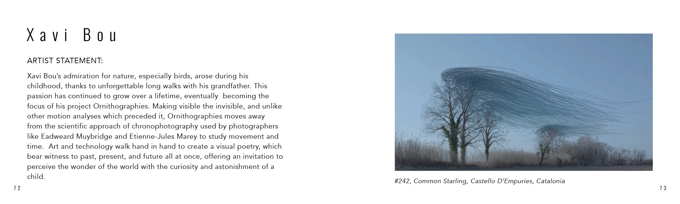 Catalog.online37.jpg