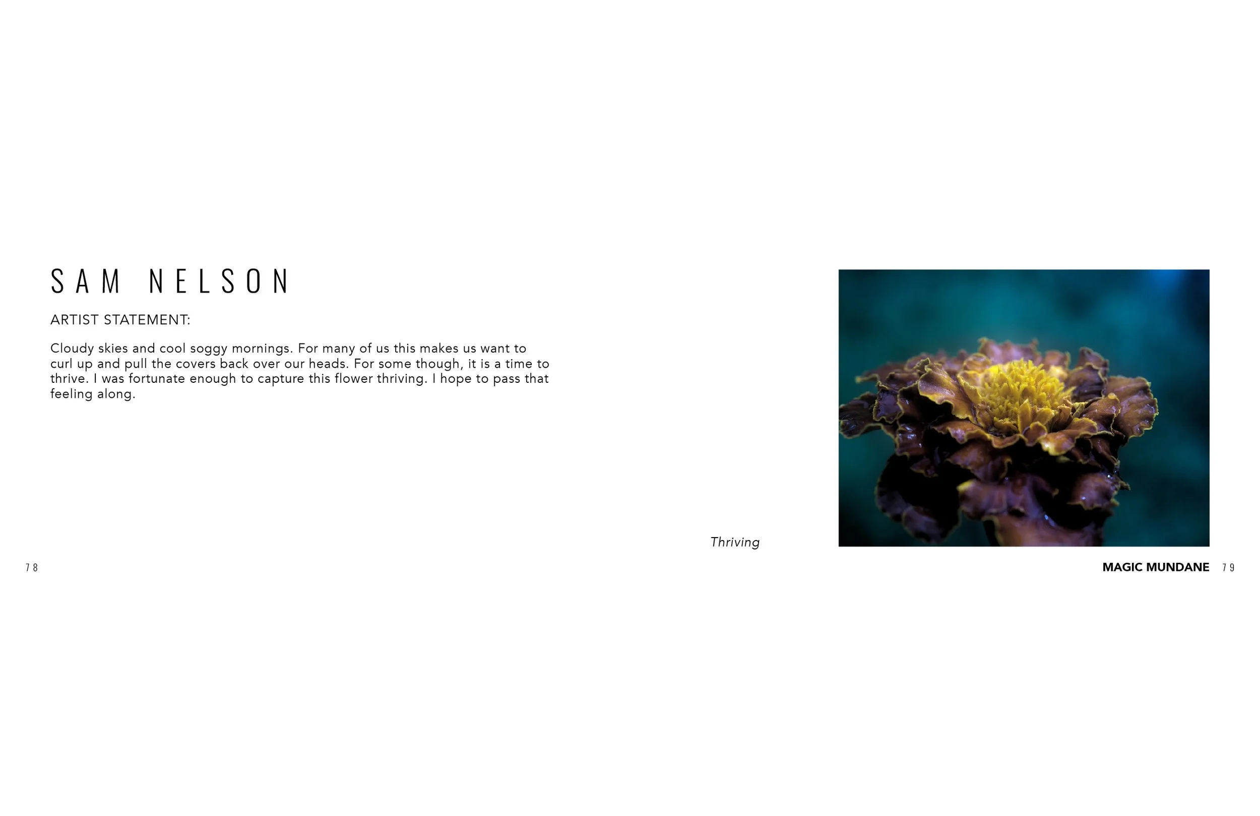 online.catalog.files40.jpg